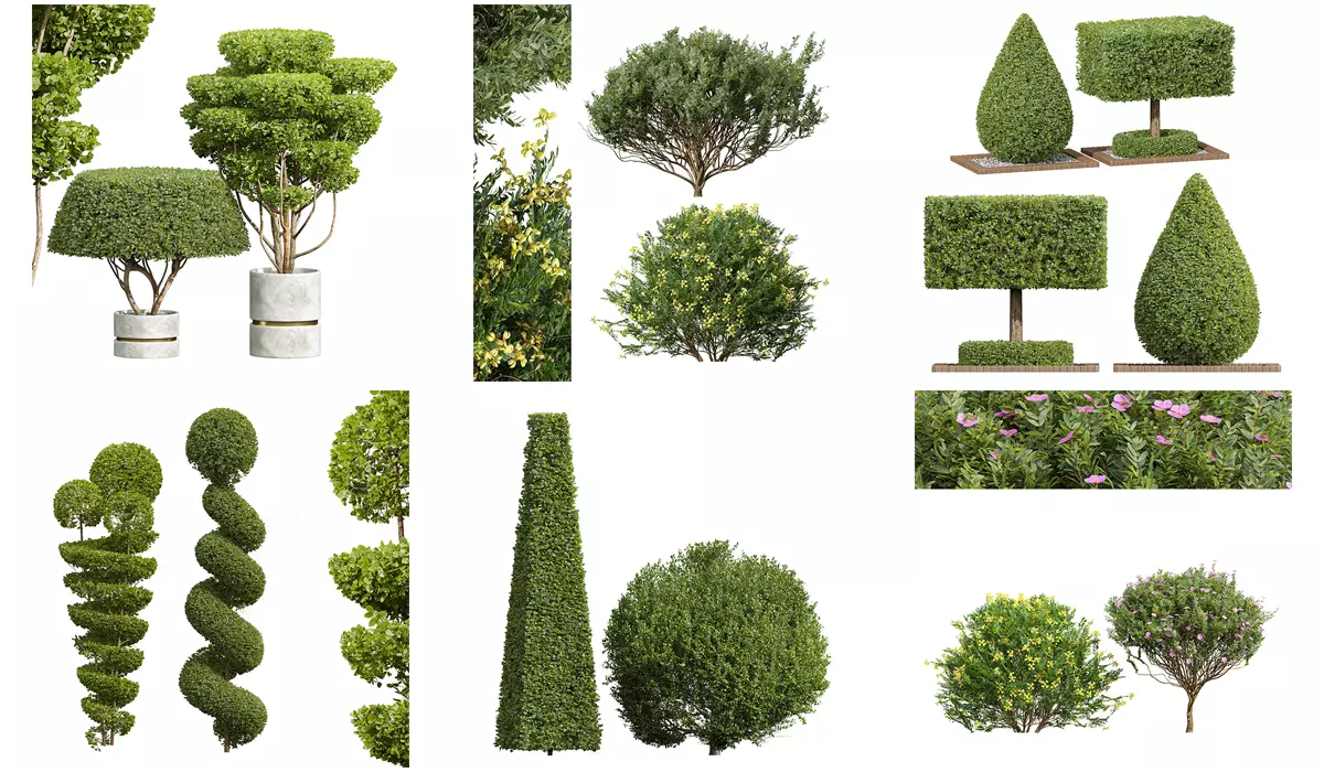 6 Different SETS of Bush SET VOL24 3D Model Collection_0
