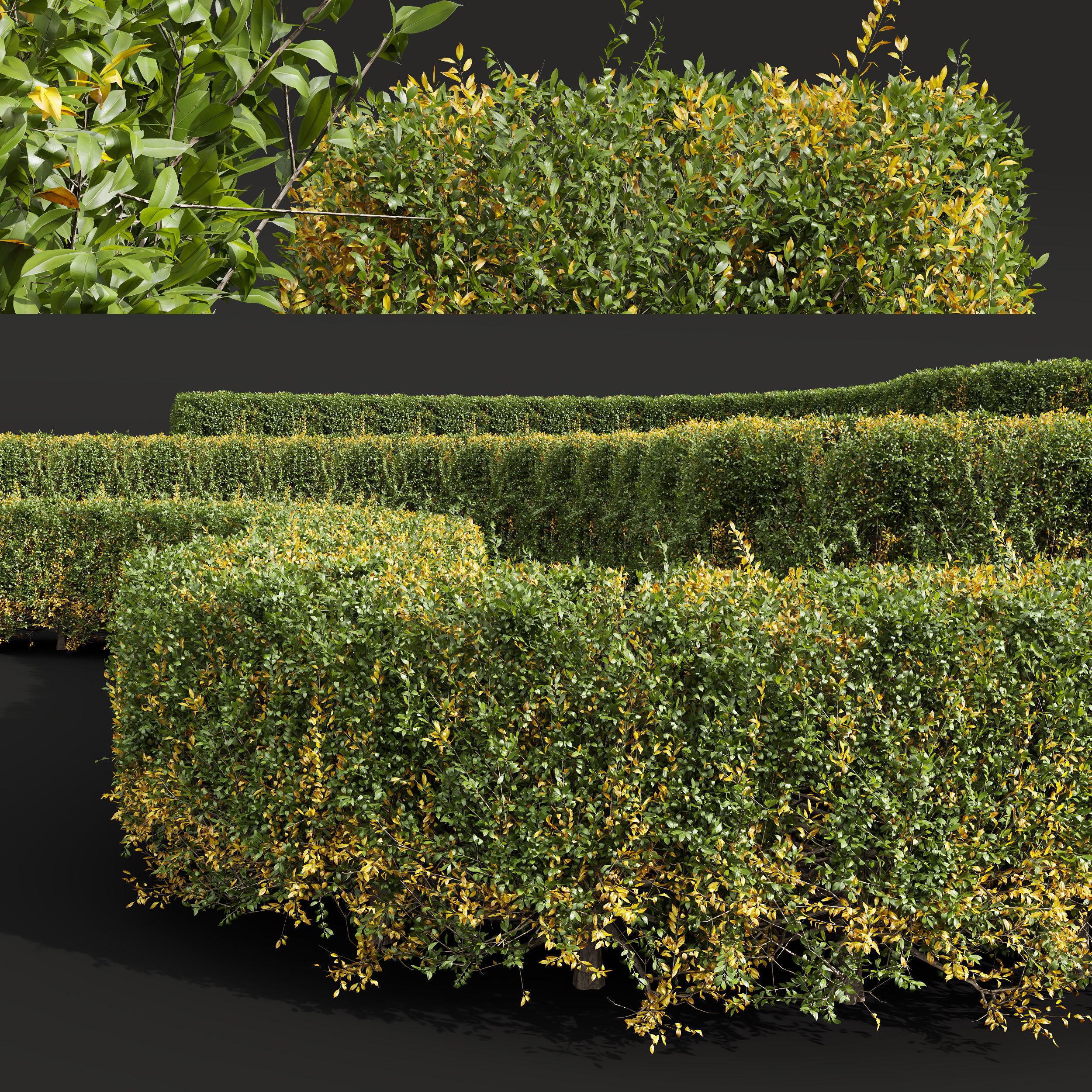  6 Different SETS of Bush SET VOL25 3D Model Collection_10