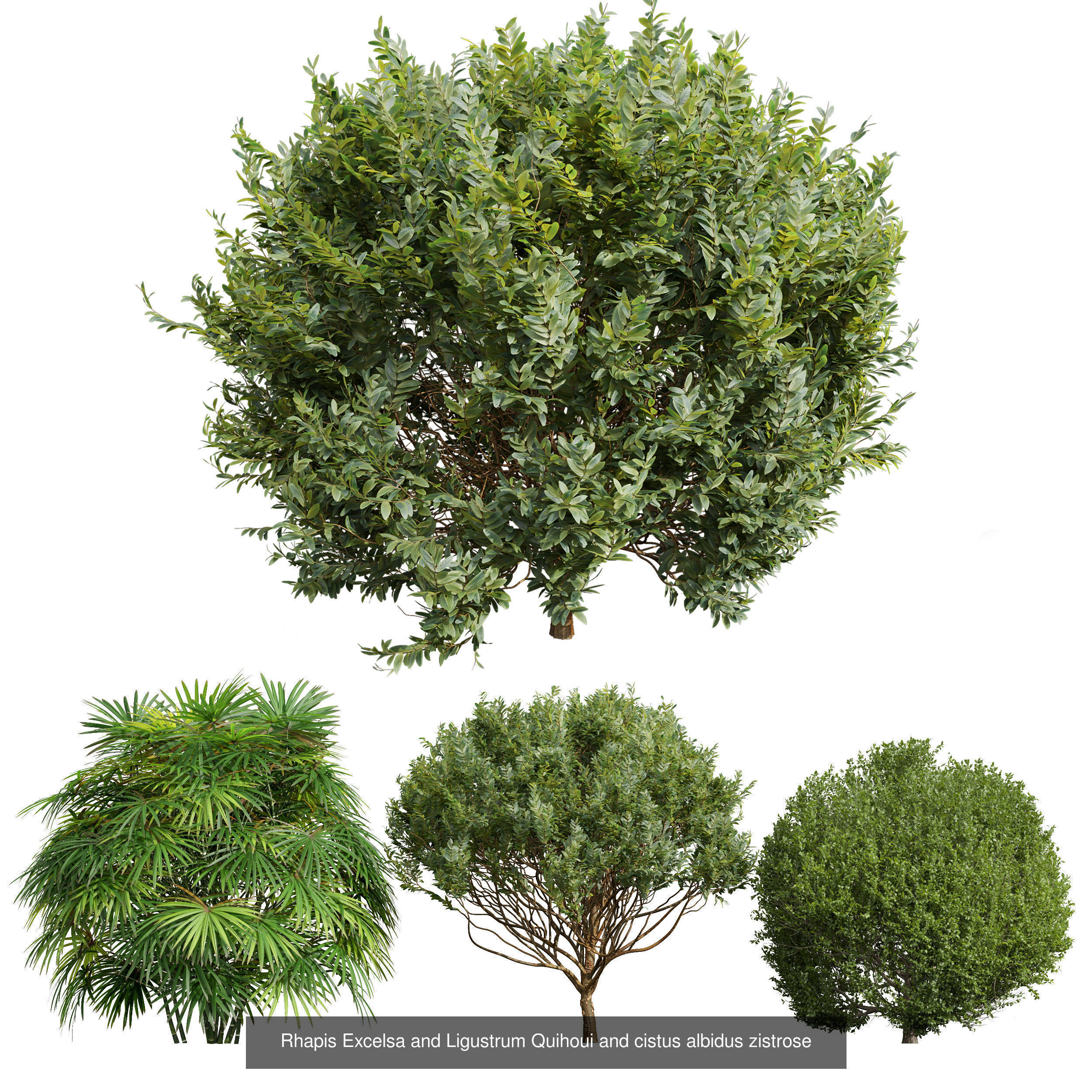  6 Different SETS of Bush SET VOL25 3D Model Collection_7