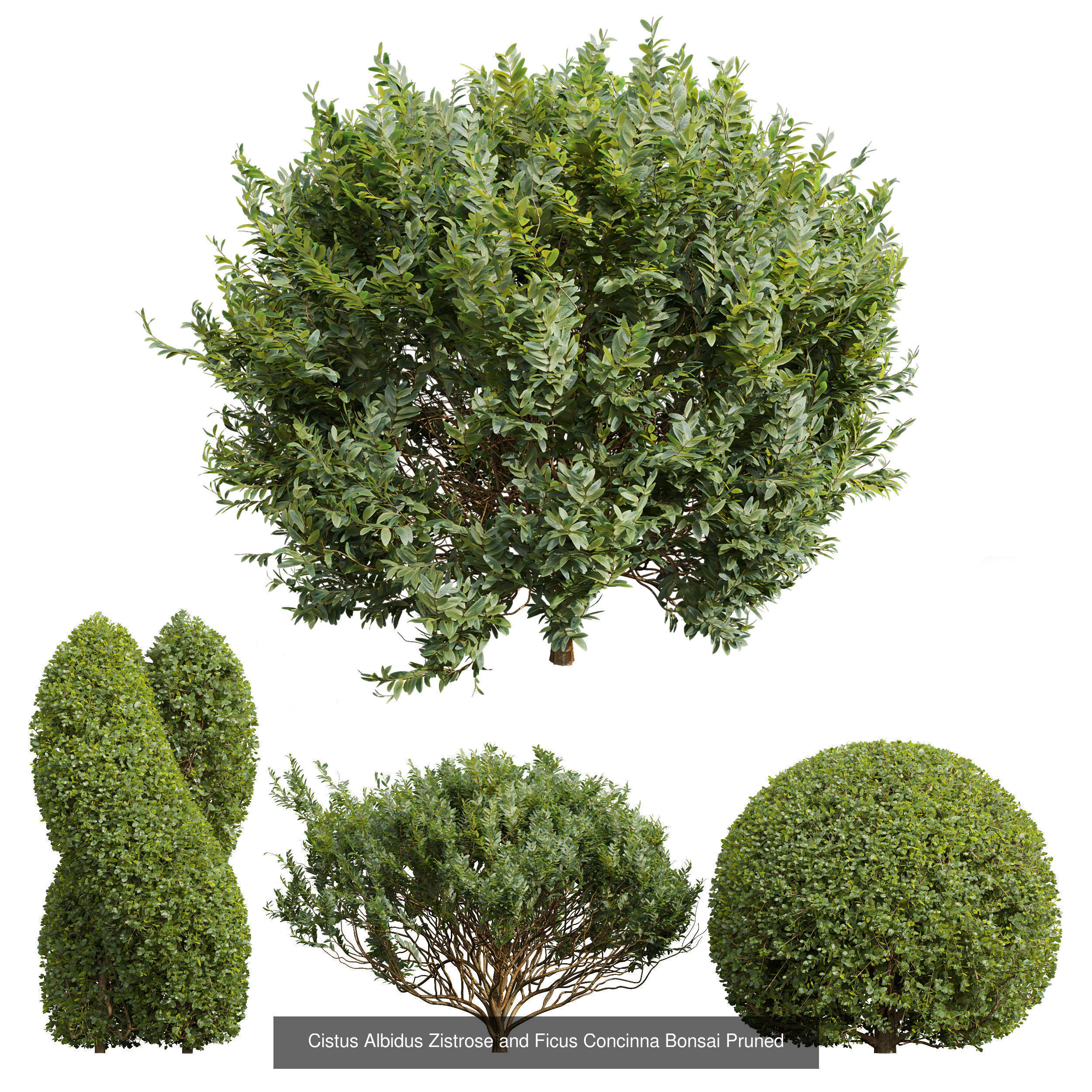  6 Different SETS of Bush SET VOL25 3D Model Collection_3