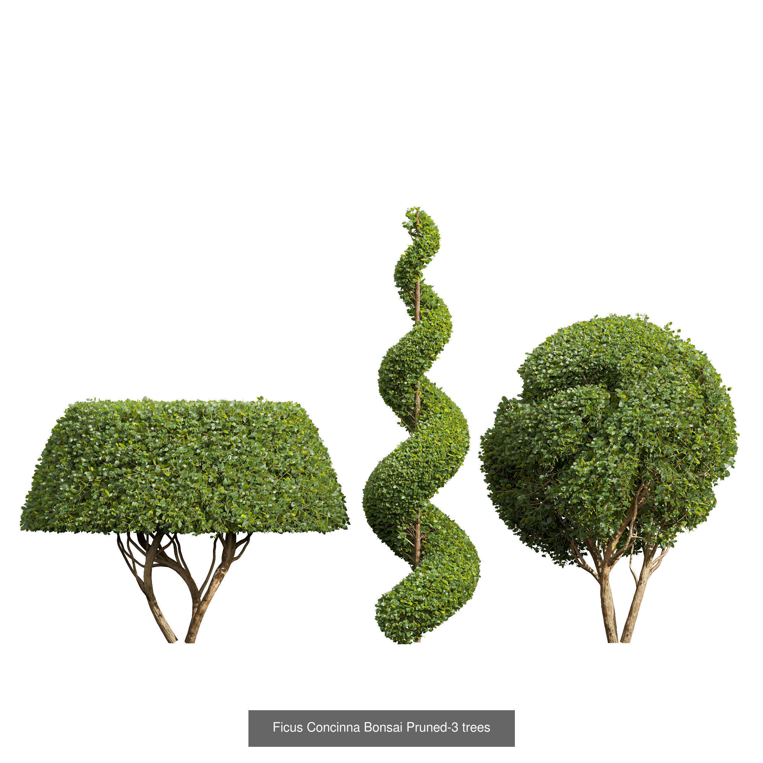  6 Different SETS of Bush SET VOL25 3D Model Collection_5