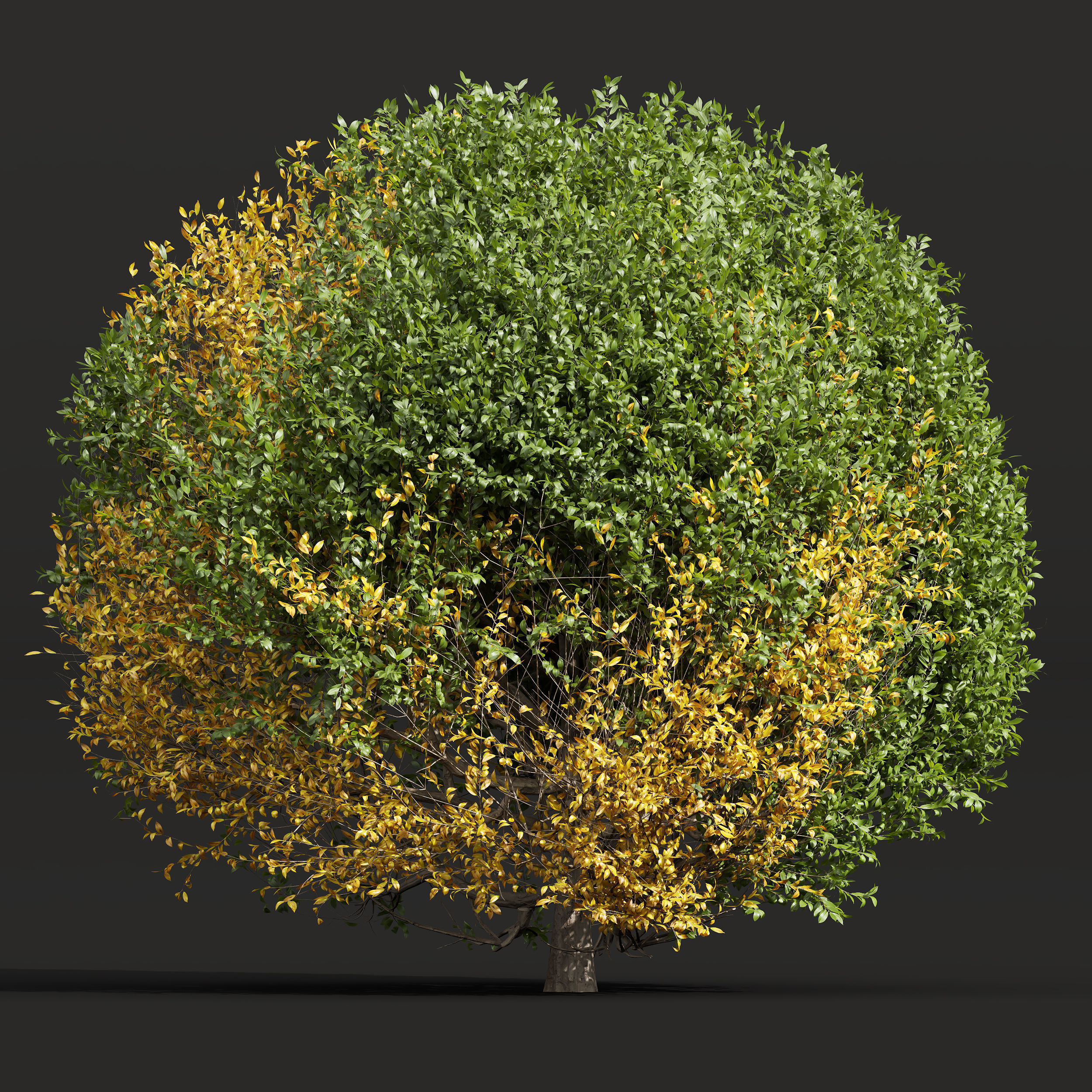  6 Different SETS of Bush SET VOL25 3D Model Collection_21