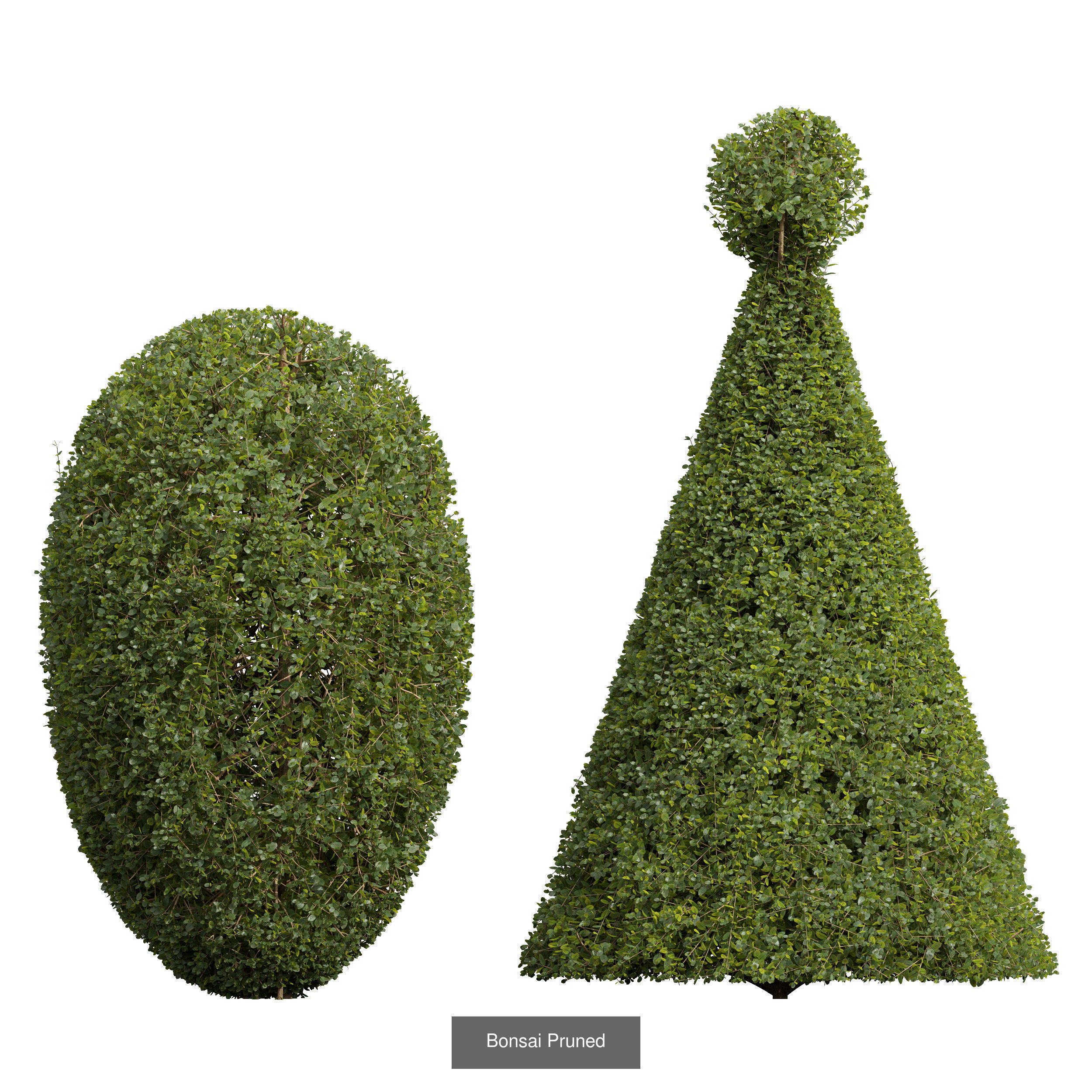  6 Different SETS of Bush SET VOL25 3D Model Collection_2