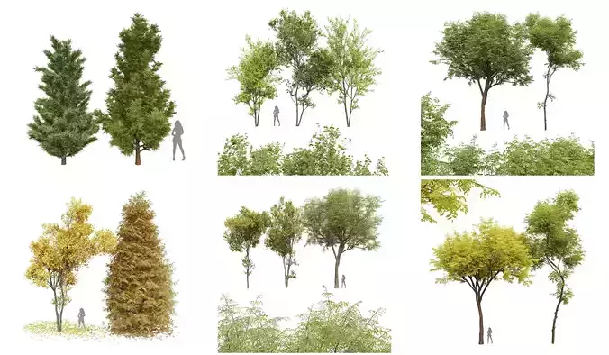 6 Different SETS of Tree SET VOL26 3D Model Collection