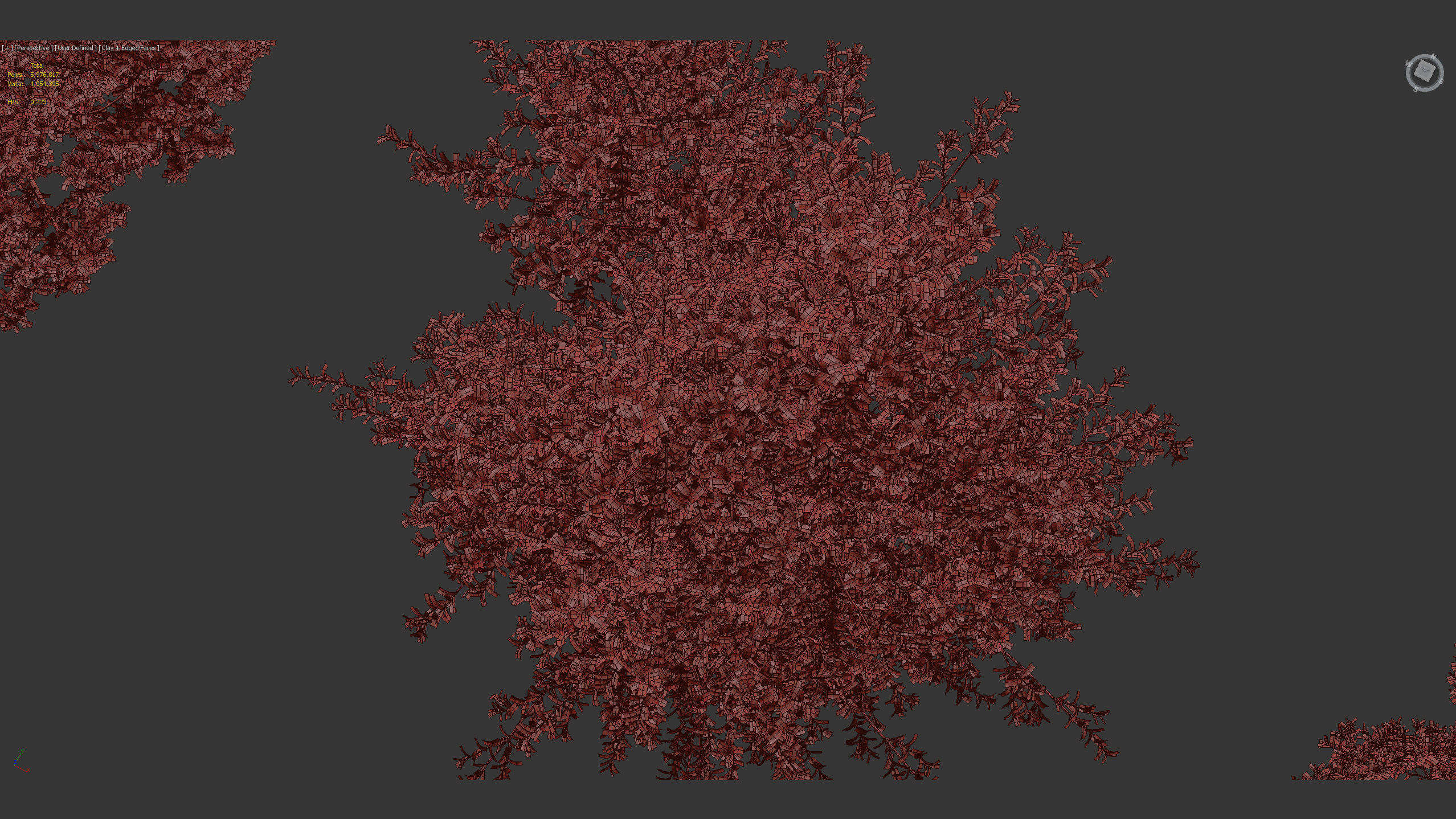 Rhamnus alaternus Salvia leucantha 3D model_12