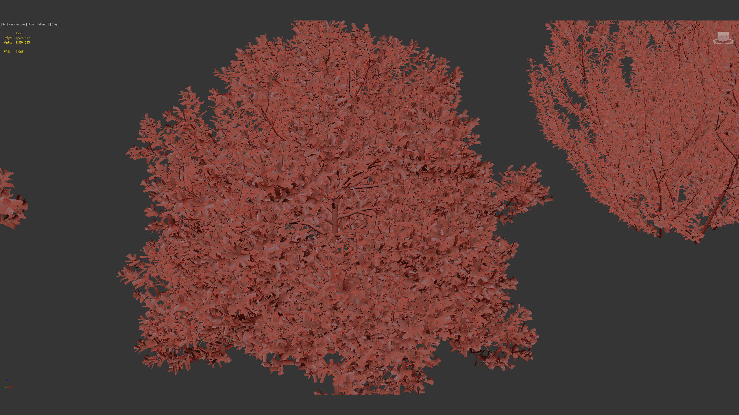 Rhamnus alaternus Salvia leucantha 3D model_9