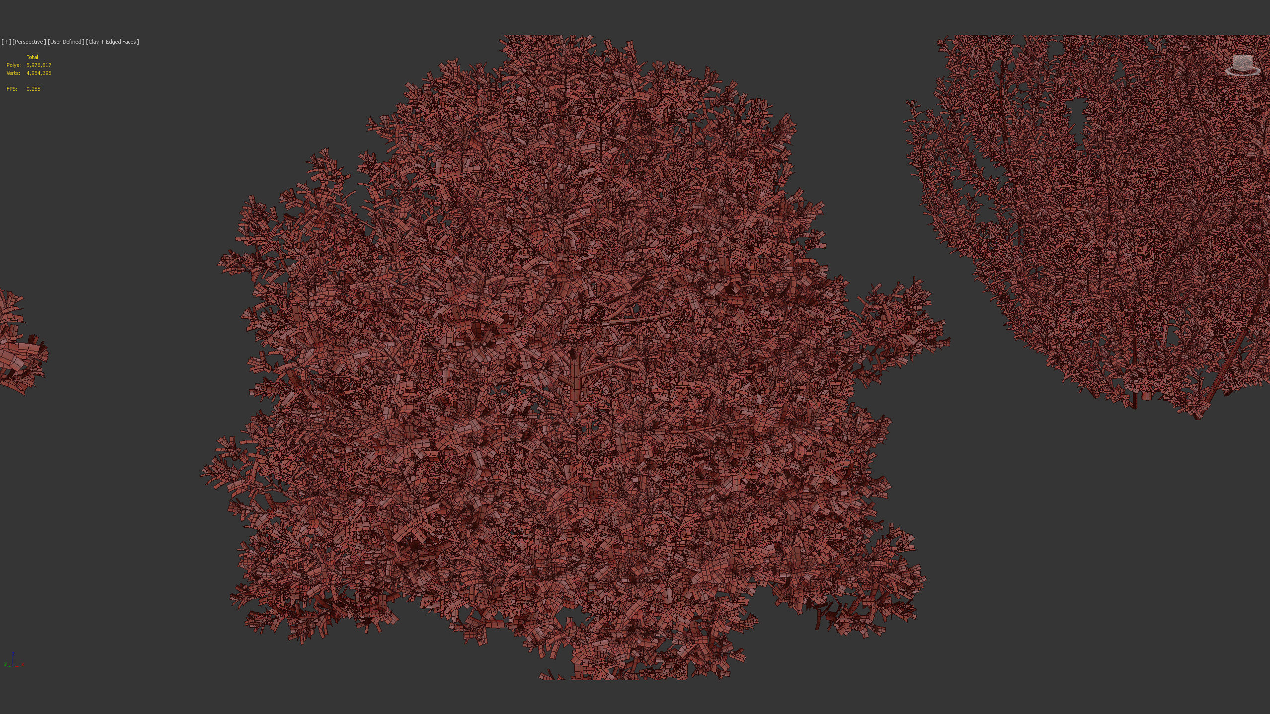 Rhamnus alaternus Salvia leucantha 3D model_10