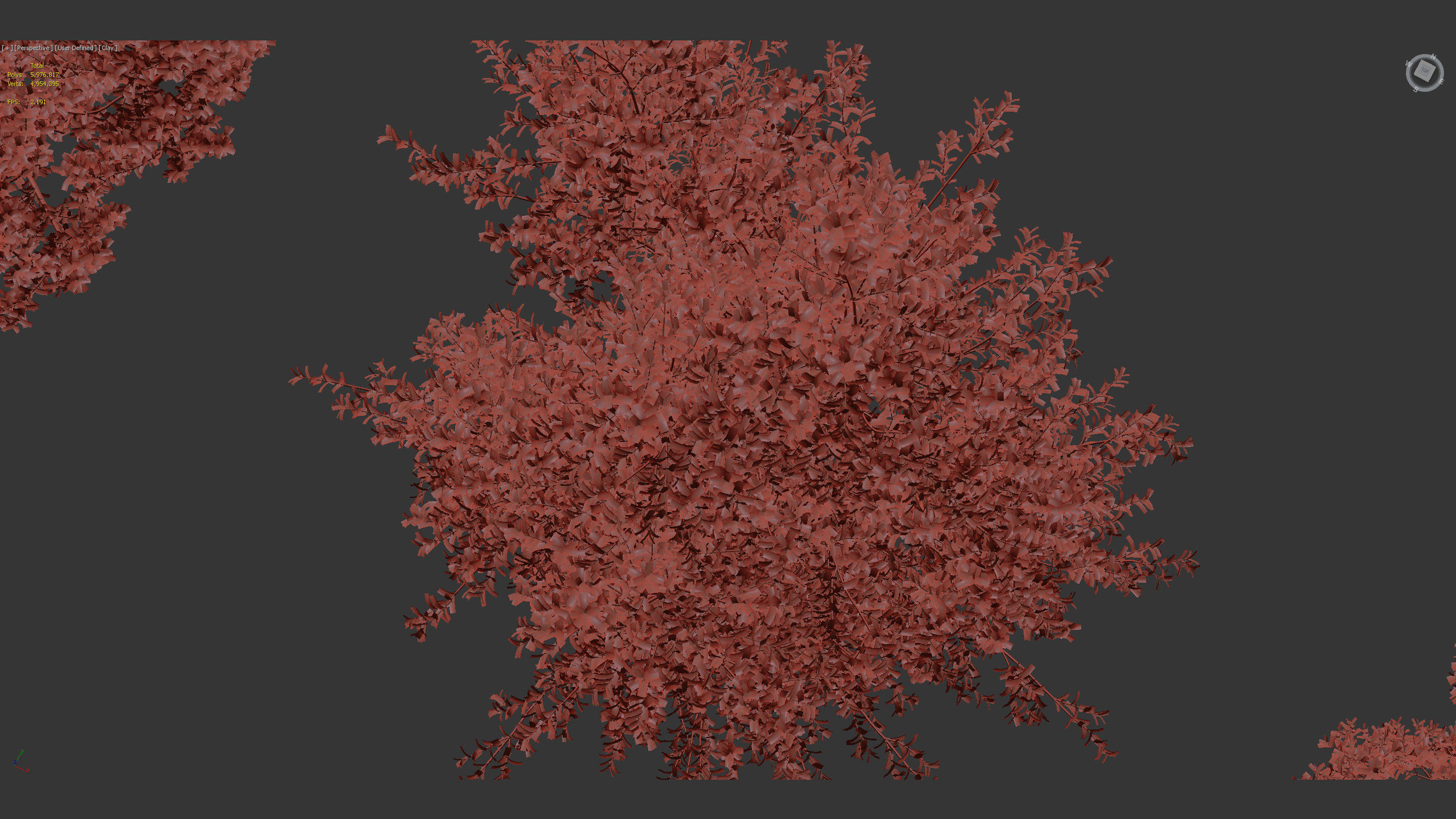 Rhamnus alaternus Salvia leucantha 3D model_11