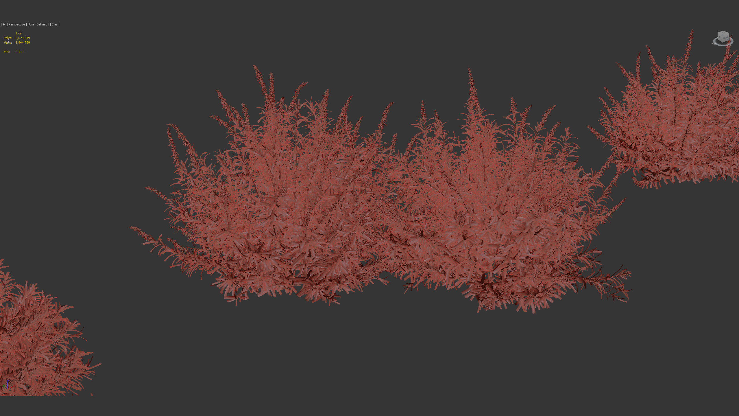 Mexican Bush Sage Salvia leucantha 3D model_9