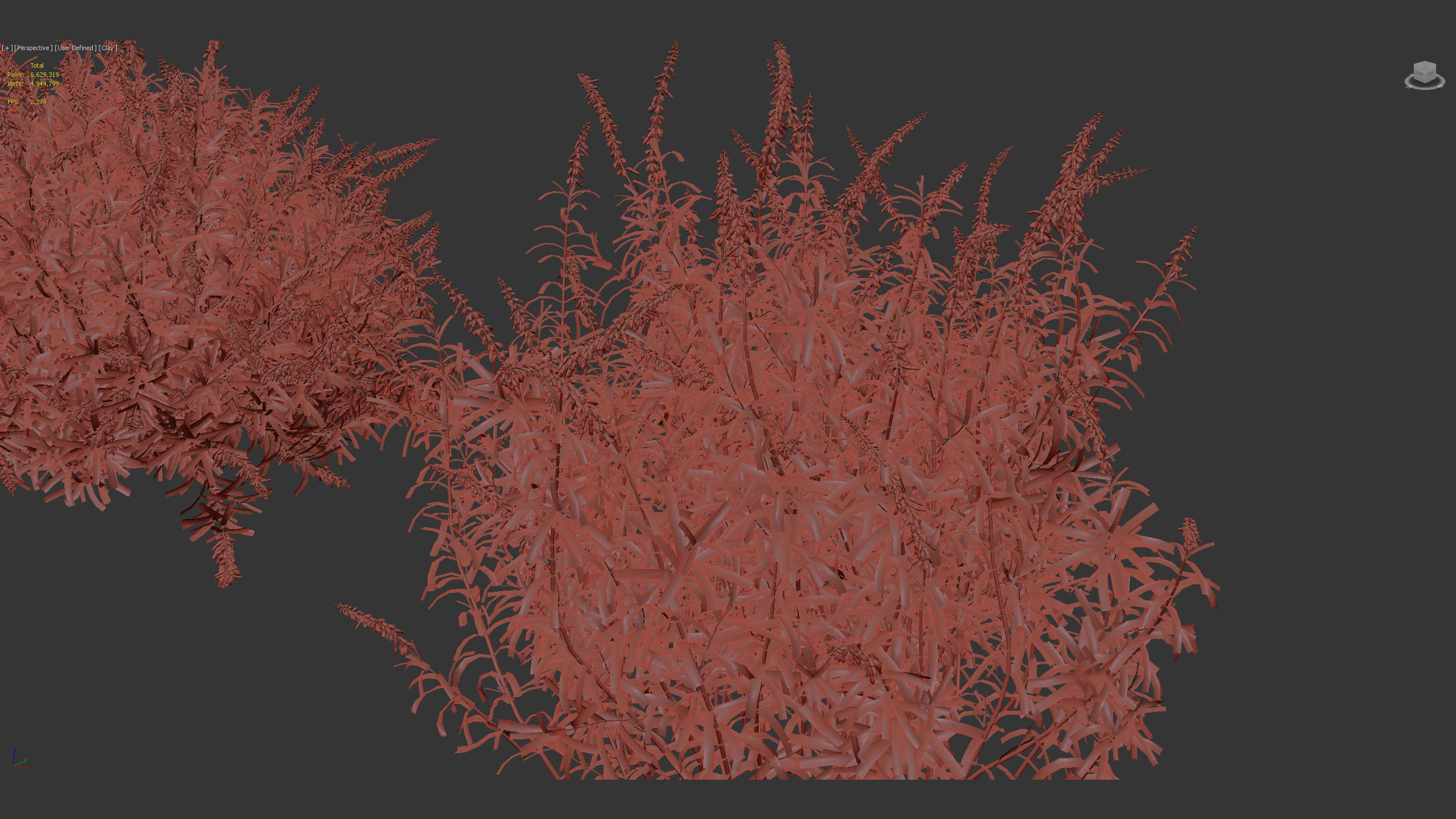 Mexican Bush Sage Salvia leucantha 3D model_11