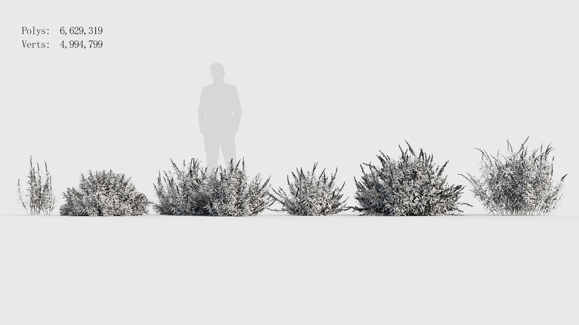 Mexican Bush Sage Salvia leucantha 3D model_7