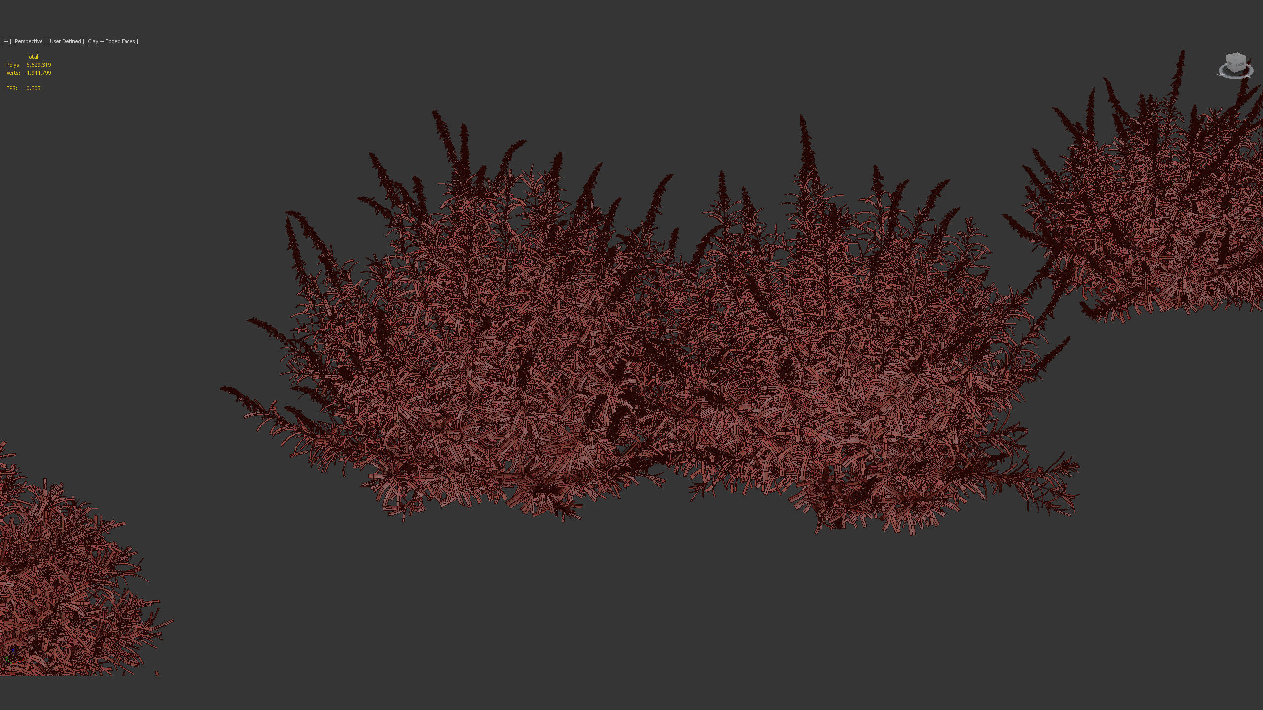 Mexican Bush Sage Salvia leucantha 3D model_10