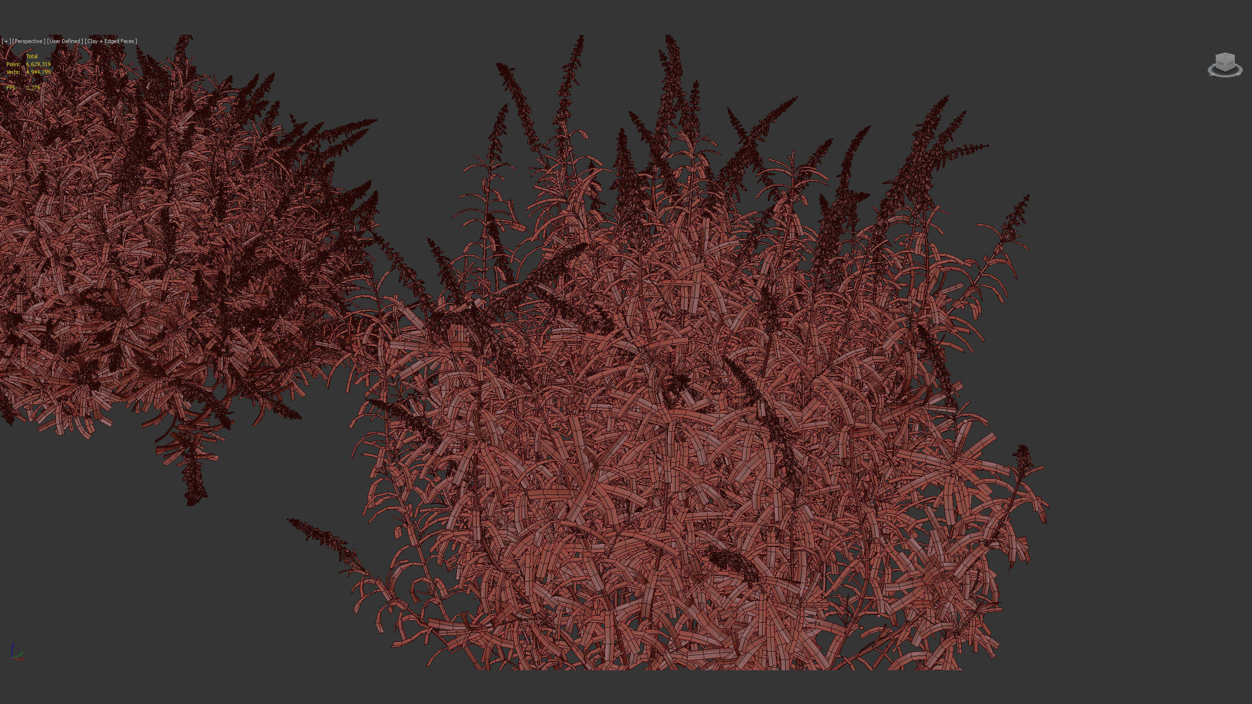 Mexican Bush Sage Salvia leucantha 3D model_12