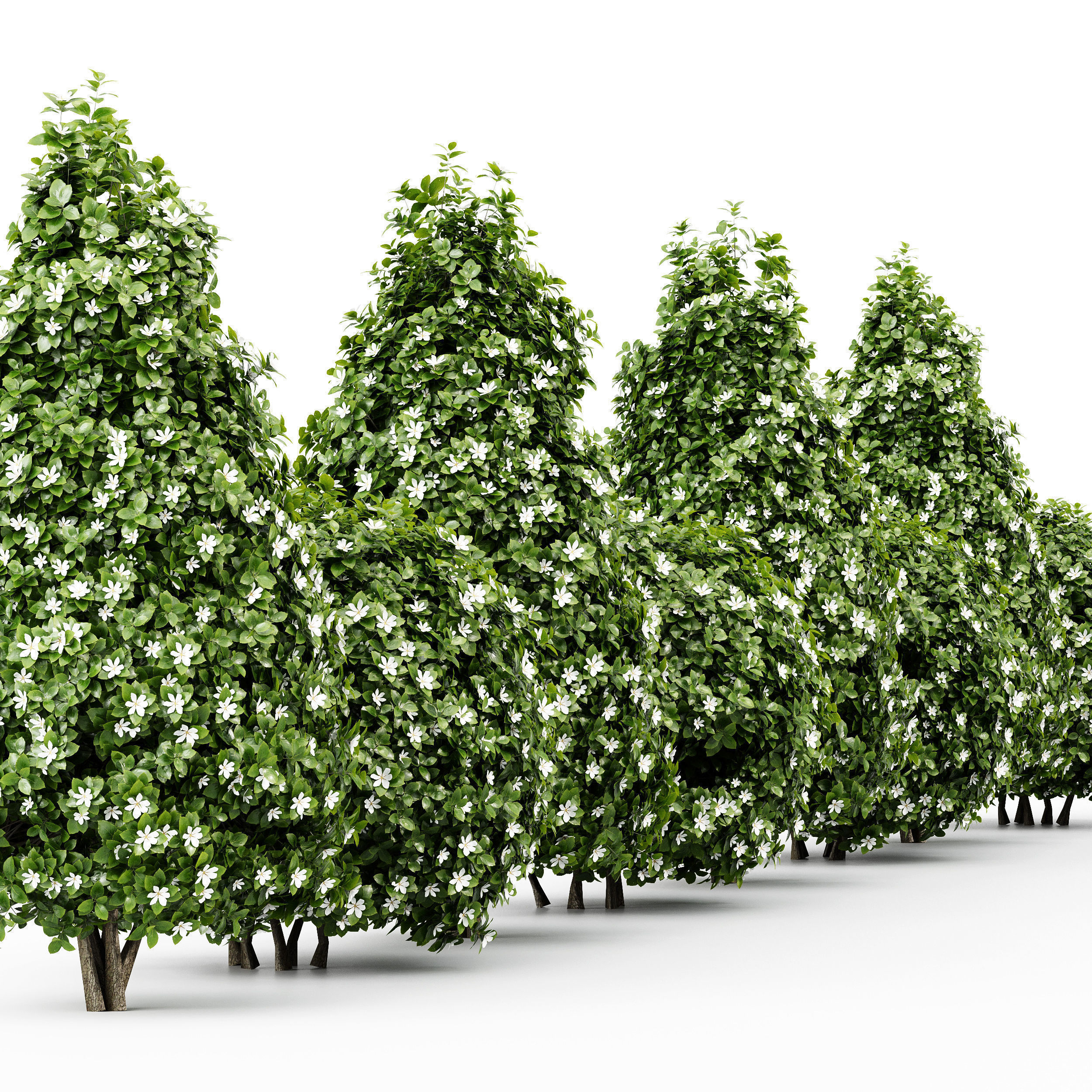  6 Different SETS of Tree Bush SET VOL27 3D Model Collection_9