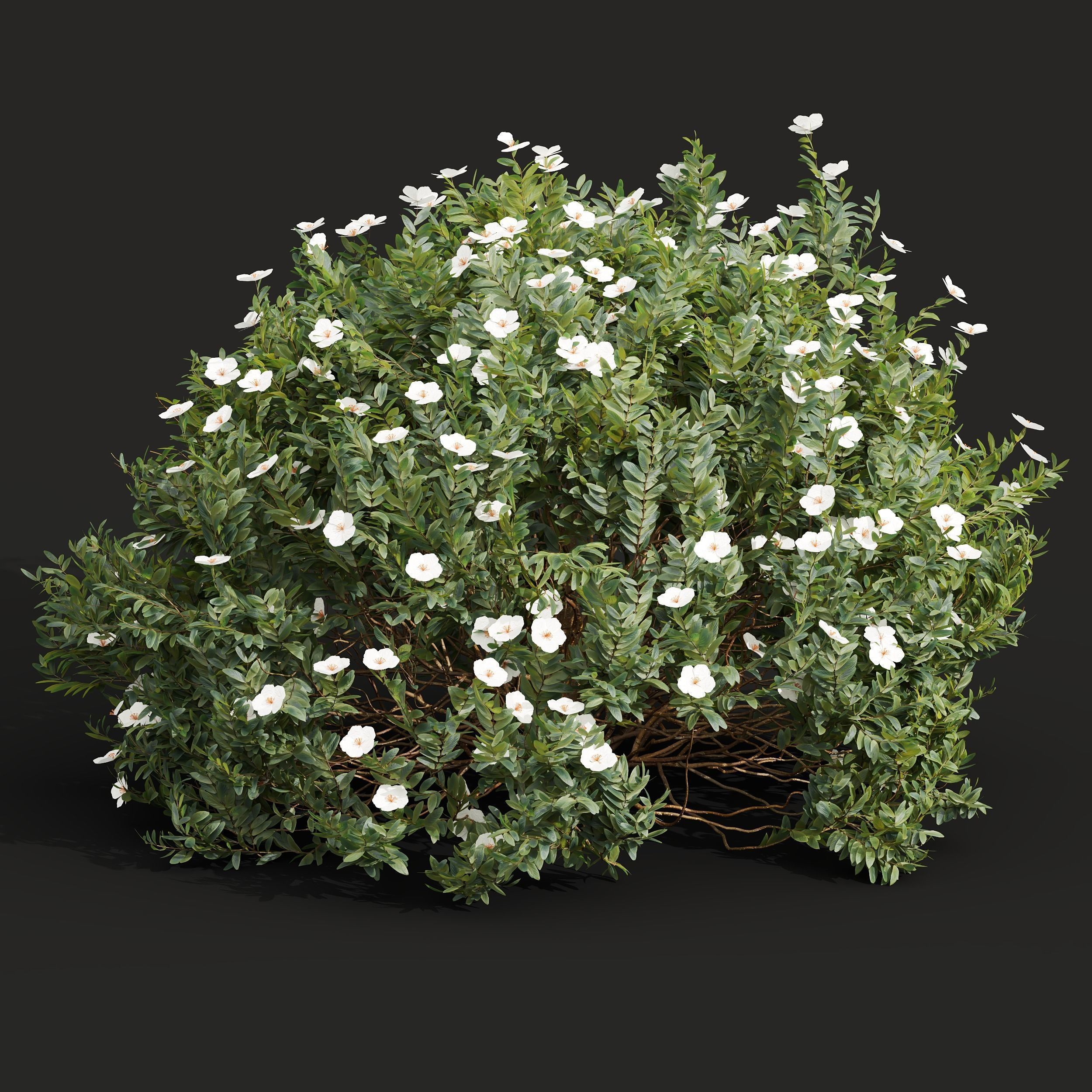  6 Different SETS of Tree Bush SET VOL27 3D Model Collection_11