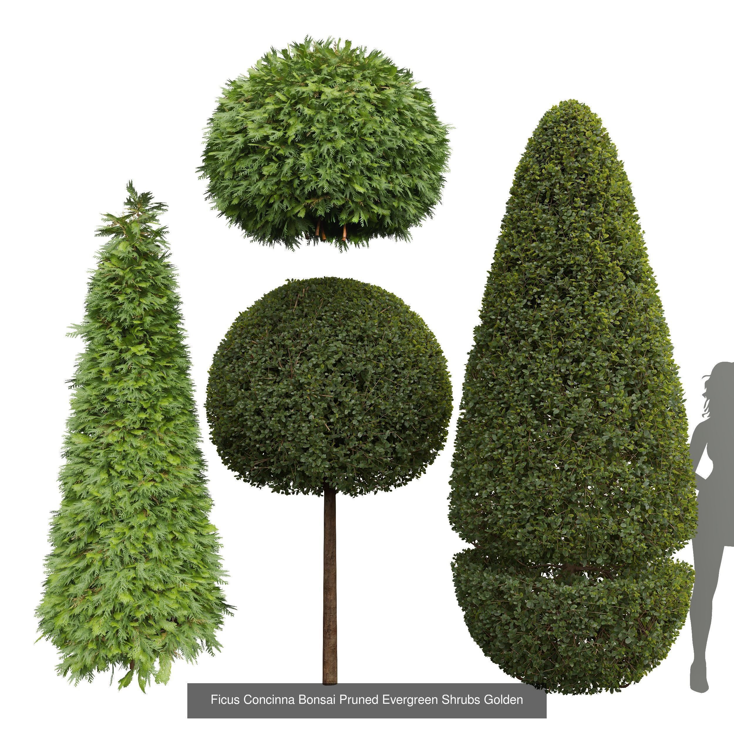  6 Different SETS of Tree Bush SET VOL27 3D Model Collection_5