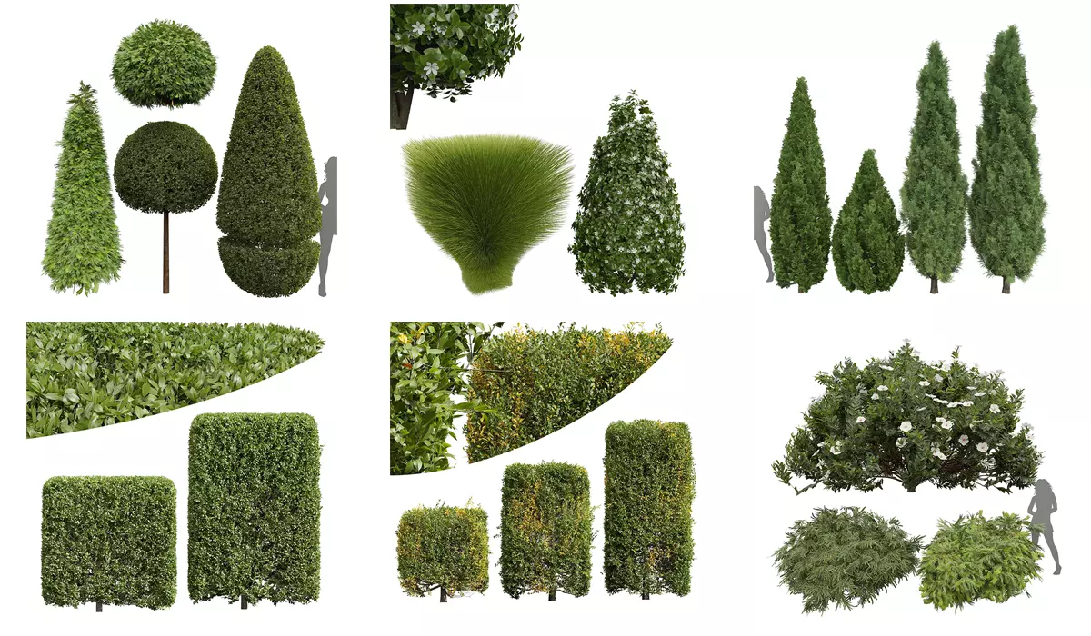 6 Different SETS of Tree Bush SET VOL27 3D Model Collection_0