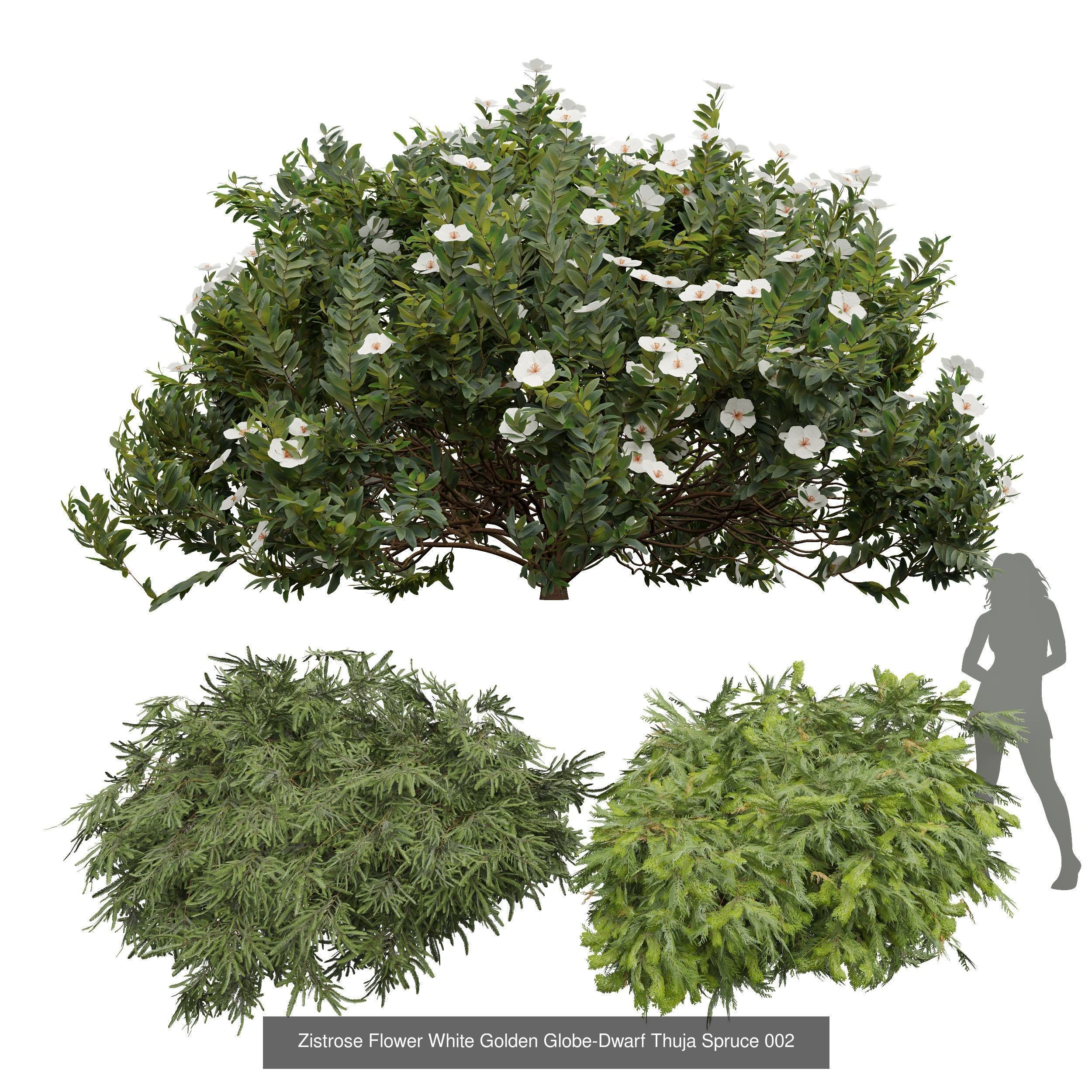  6 Different SETS of Tree Bush SET VOL27 3D Model Collection_6