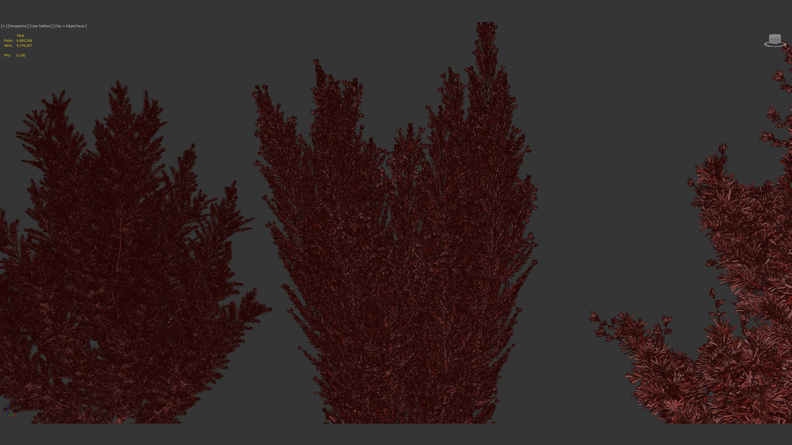 Erica Arborea  Tree heath 3D model_12