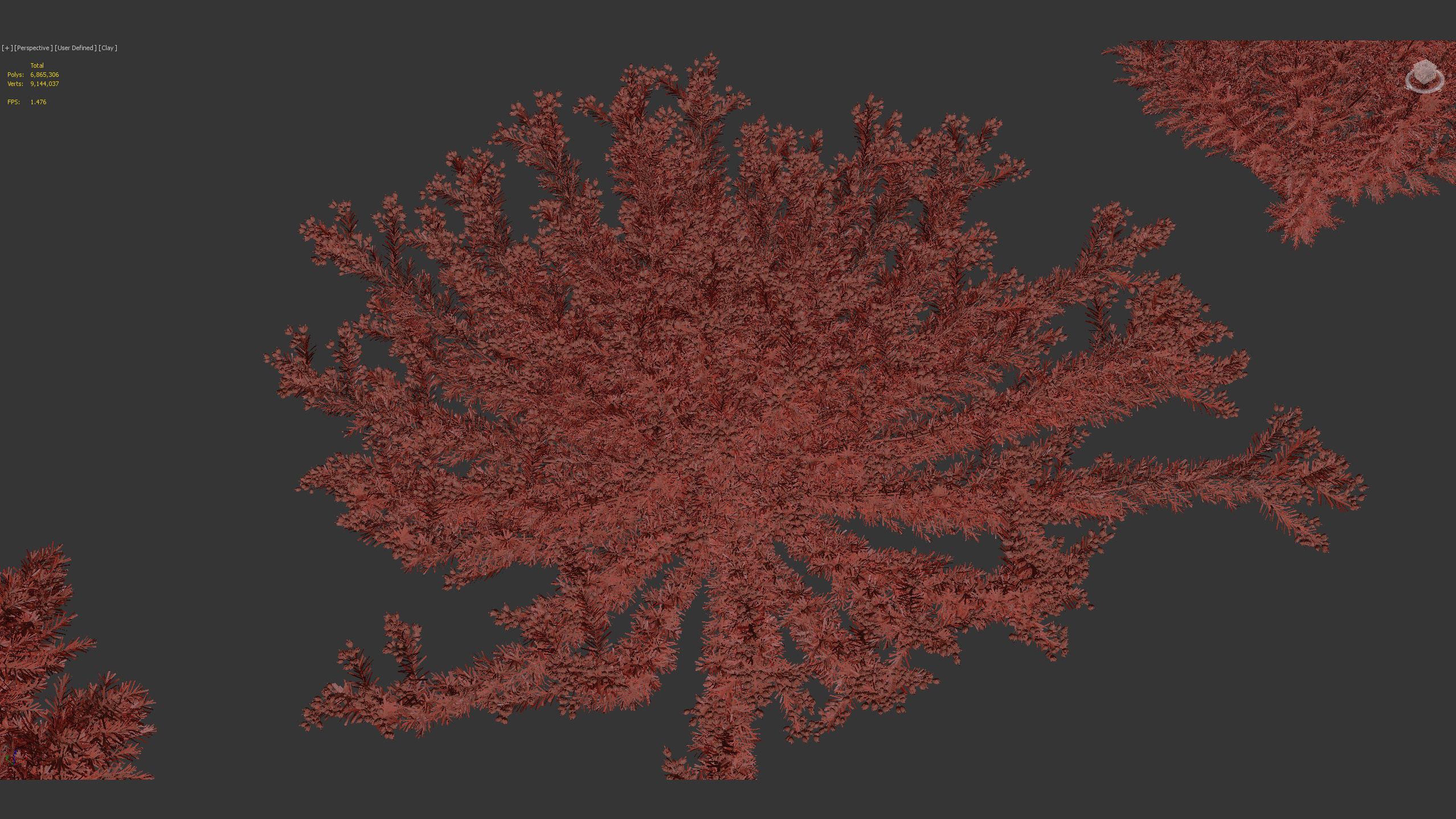 Erica Arborea  Tree heath 3D model_9