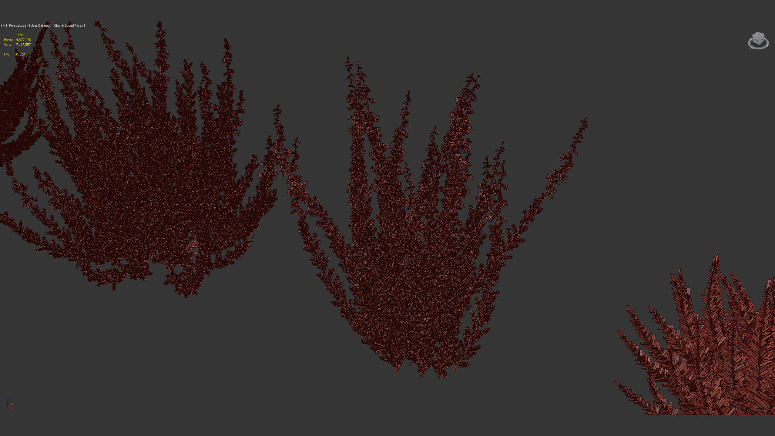 Calluna vulgaris Scotch Heather 3D model_10