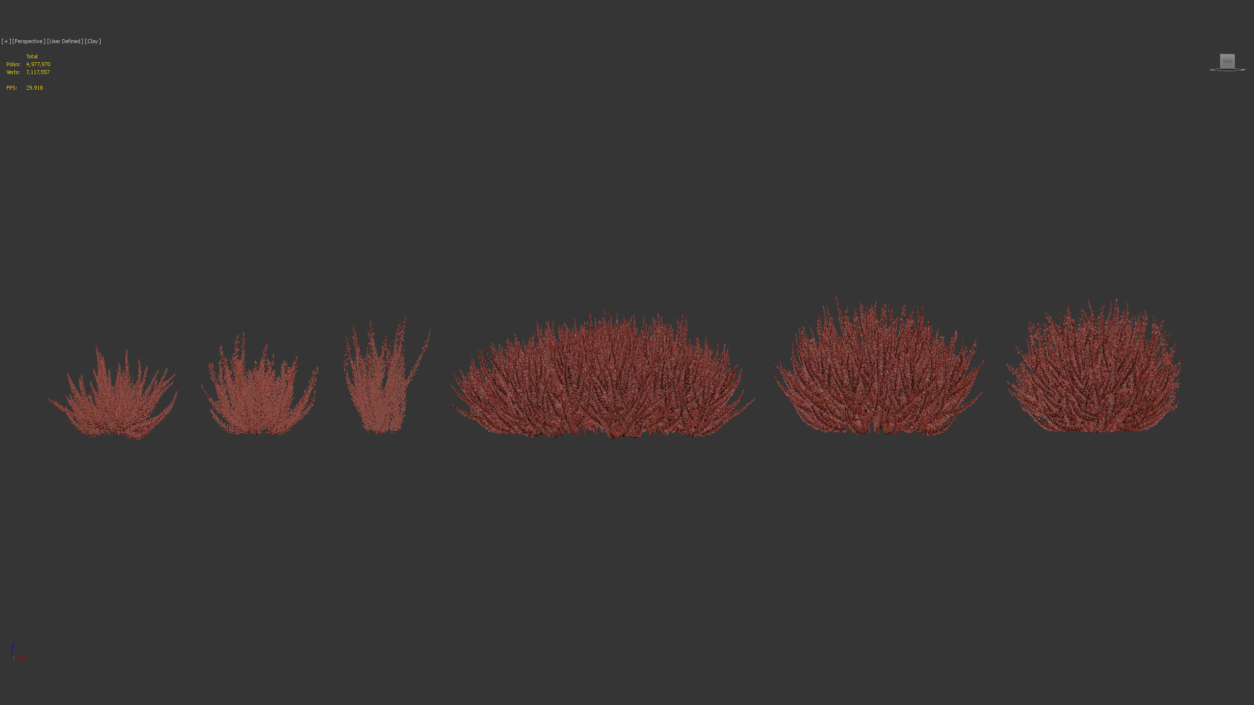 Calluna vulgaris Scotch Heather 3D model_8