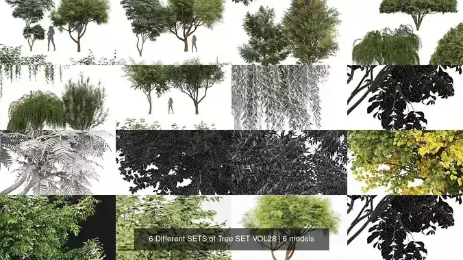  6 Different SETS of Tree SET VOL28