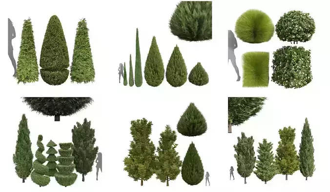 6 Different SETS of Tree SET VOL29 3D Model Collection