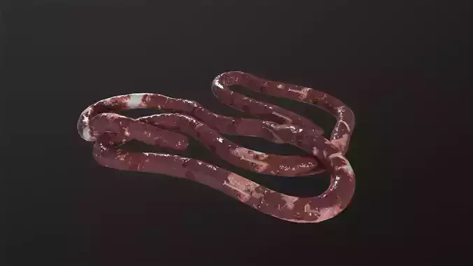 Intestines Pile Horror 3D Model
