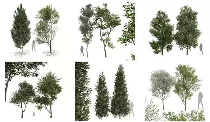 6 Different SETS of Tree SET VOL30 3D Model Collection