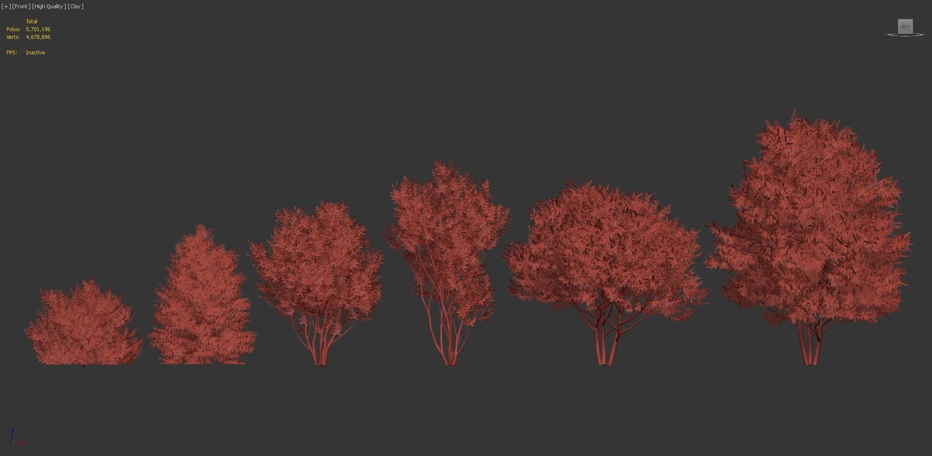 Prunus lusitanica Portugal Laurel 3D model_7