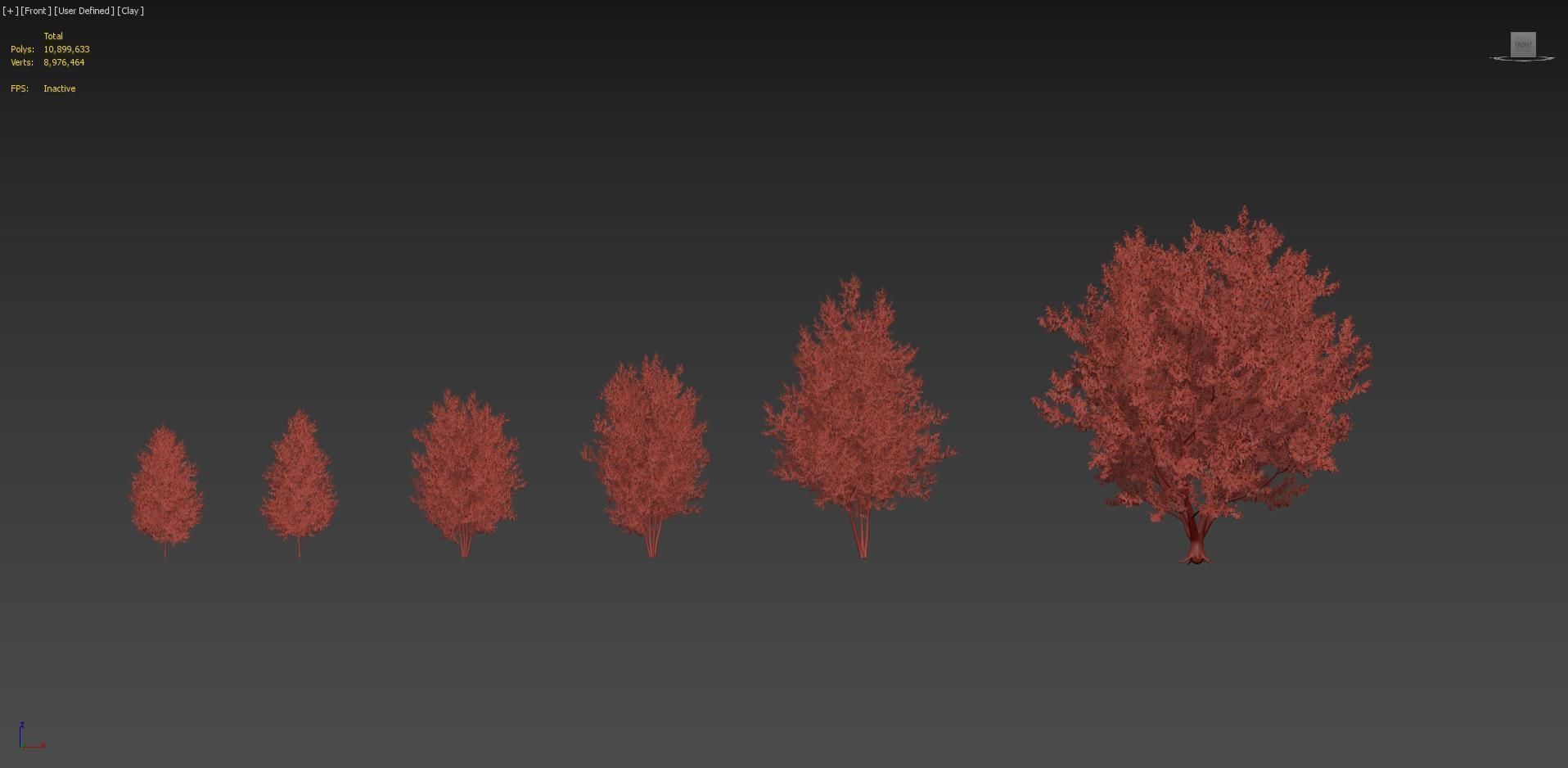 Betula papyrifera Paper birch 3D model_7