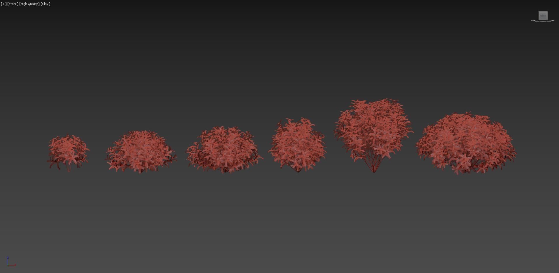 Daphne odora Winter daphne 3D model_7