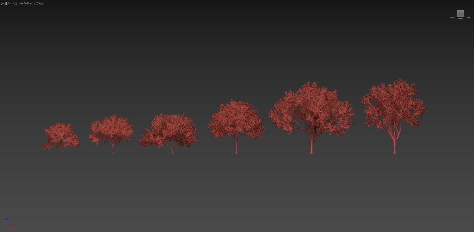 Ceanothus  New Jersey tea 3D model_7