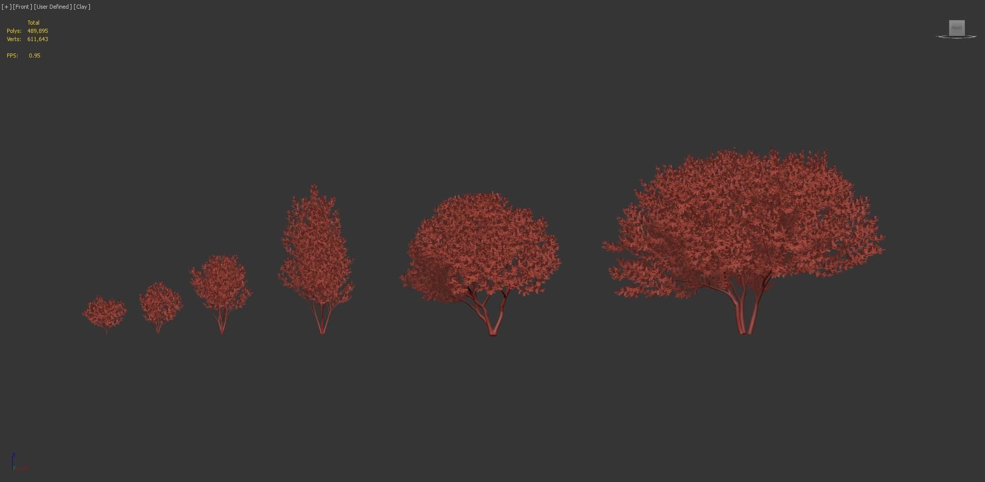 Ligustrum Common privet 3D model_7