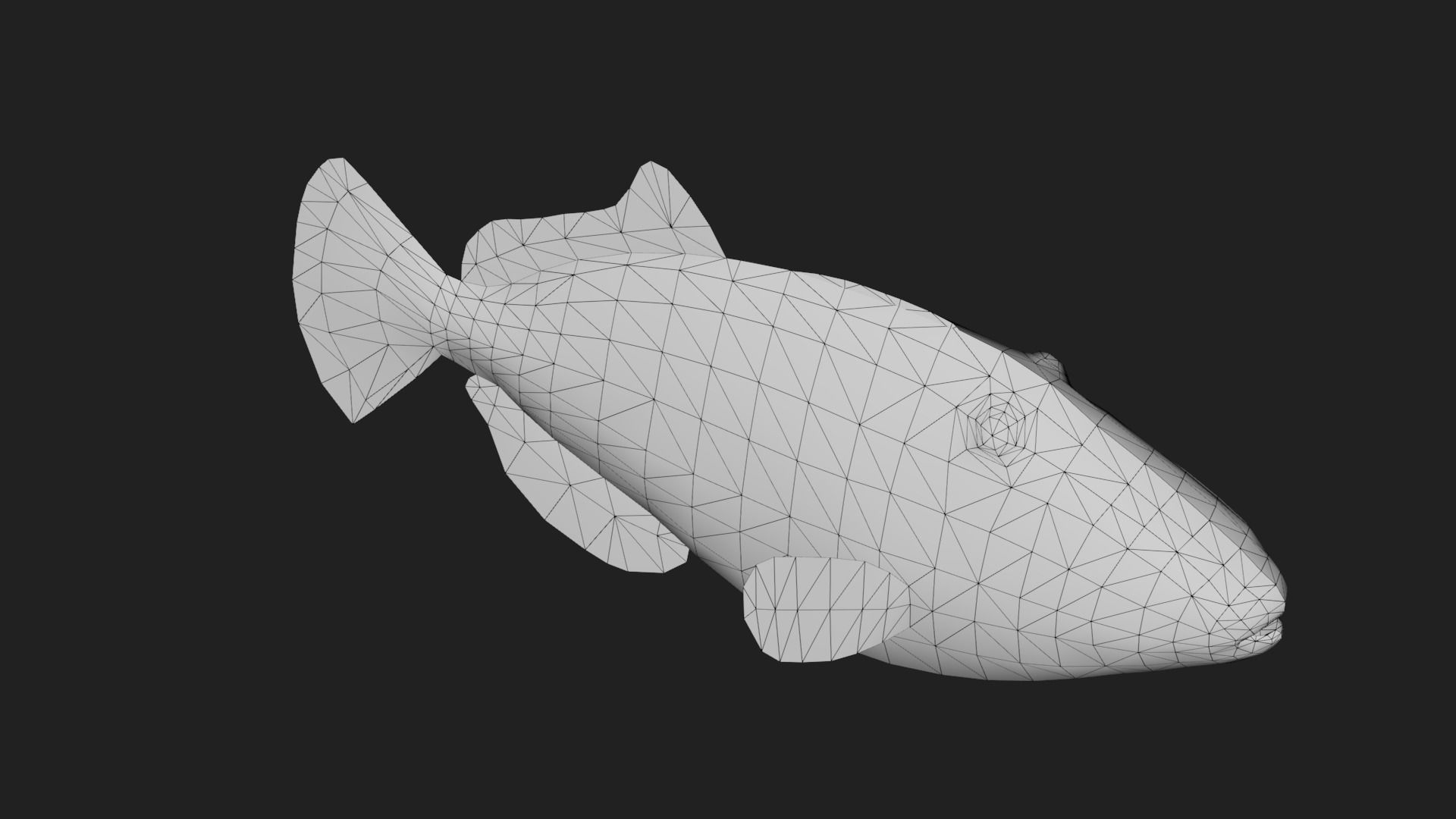 Filefish Low-poly 3D model_5