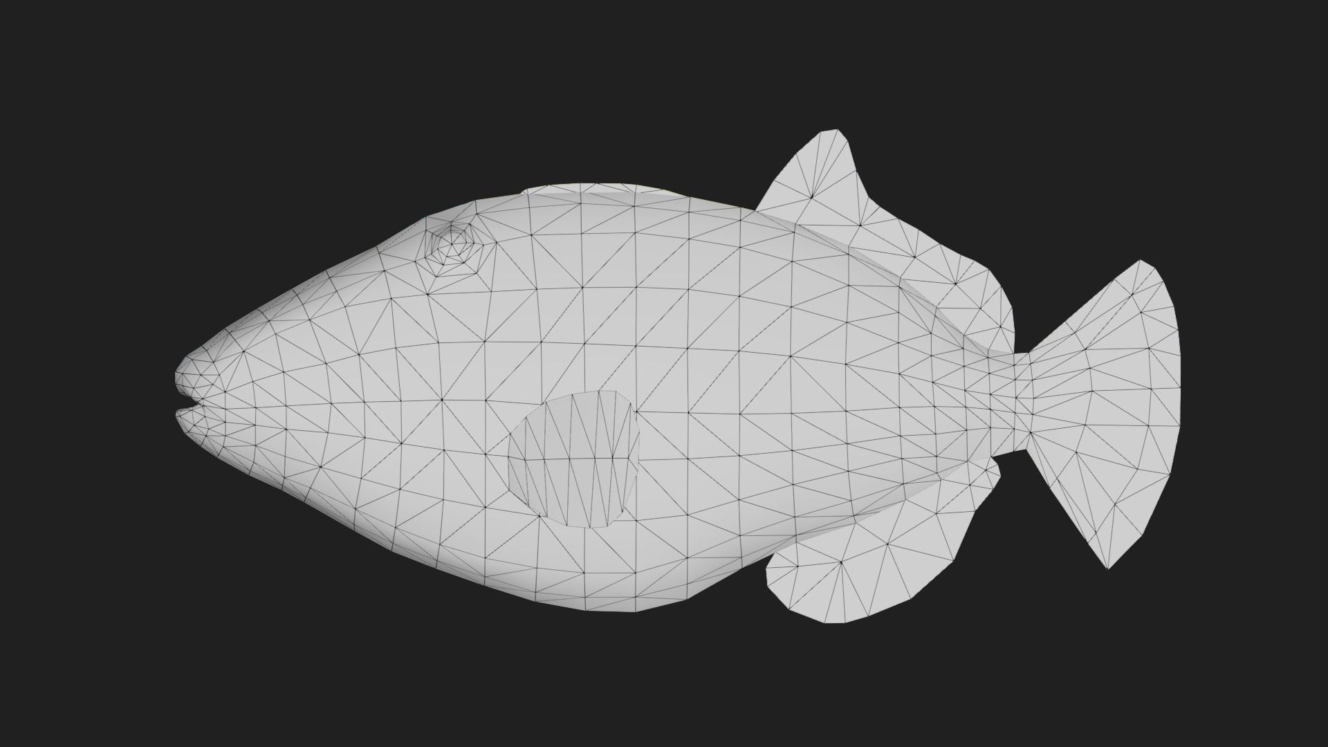 Filefish Low-poly 3D model_1
