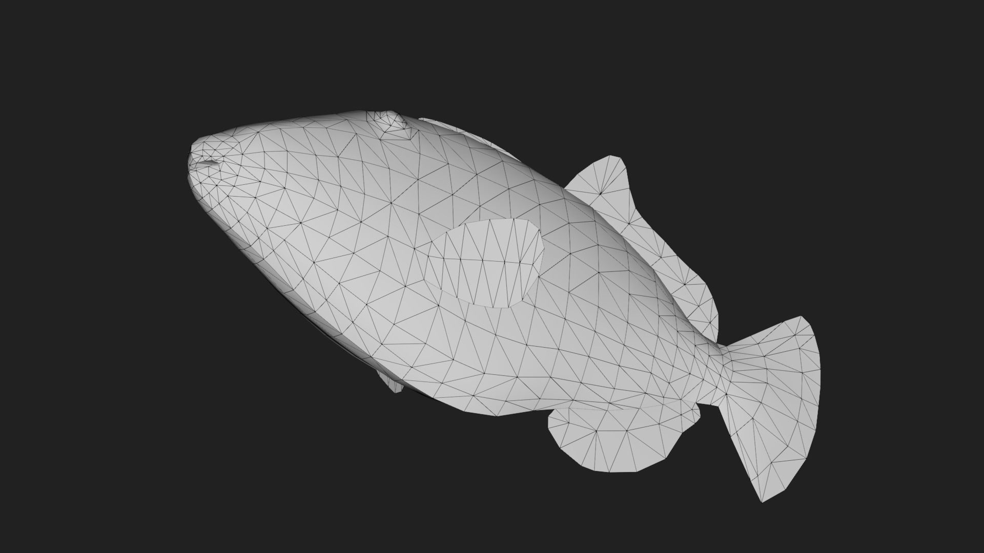 Filefish Low-poly 3D model_3