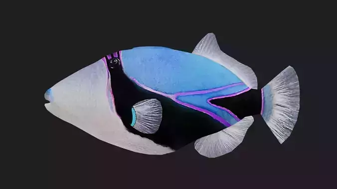 Filefish Low-poly 3D model
