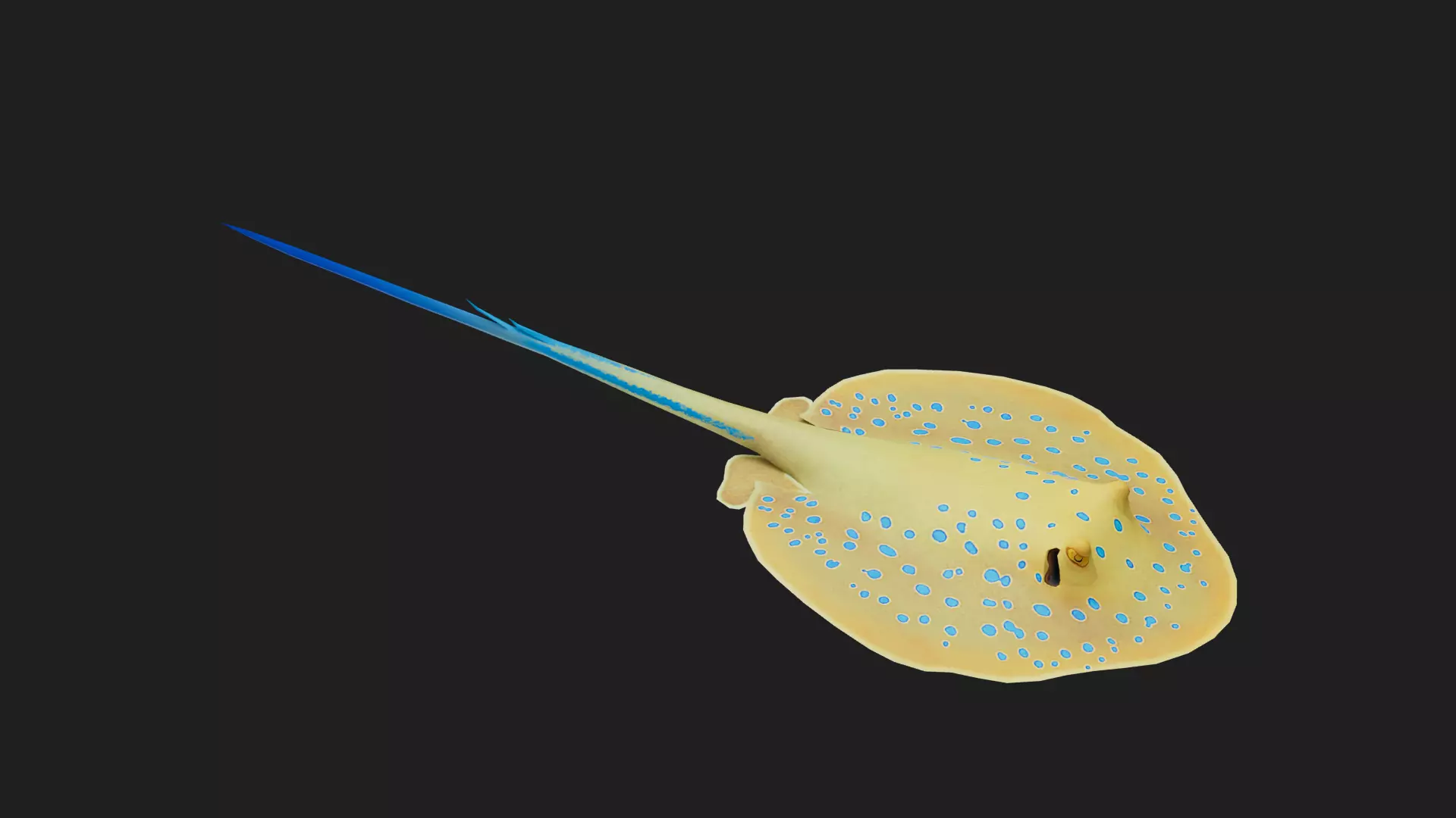 Ray fish Low-poly 3D model_0