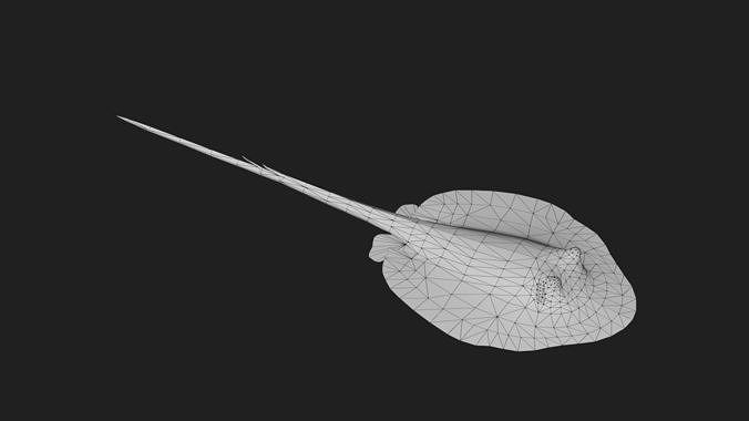 Ray fish Low-poly 3D model 2