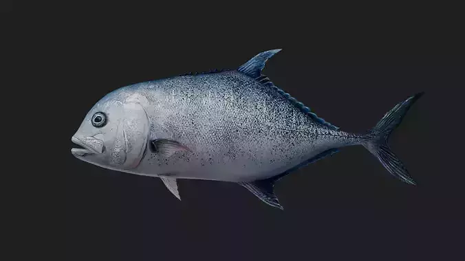 Trevally