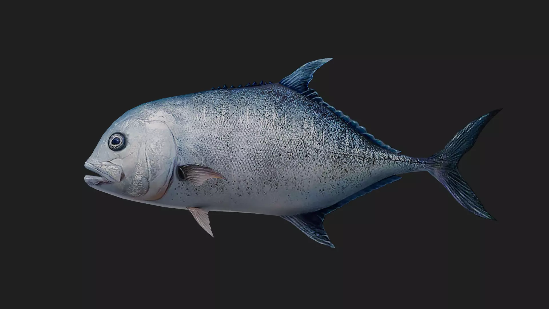 Trevally Low-poly 3D model