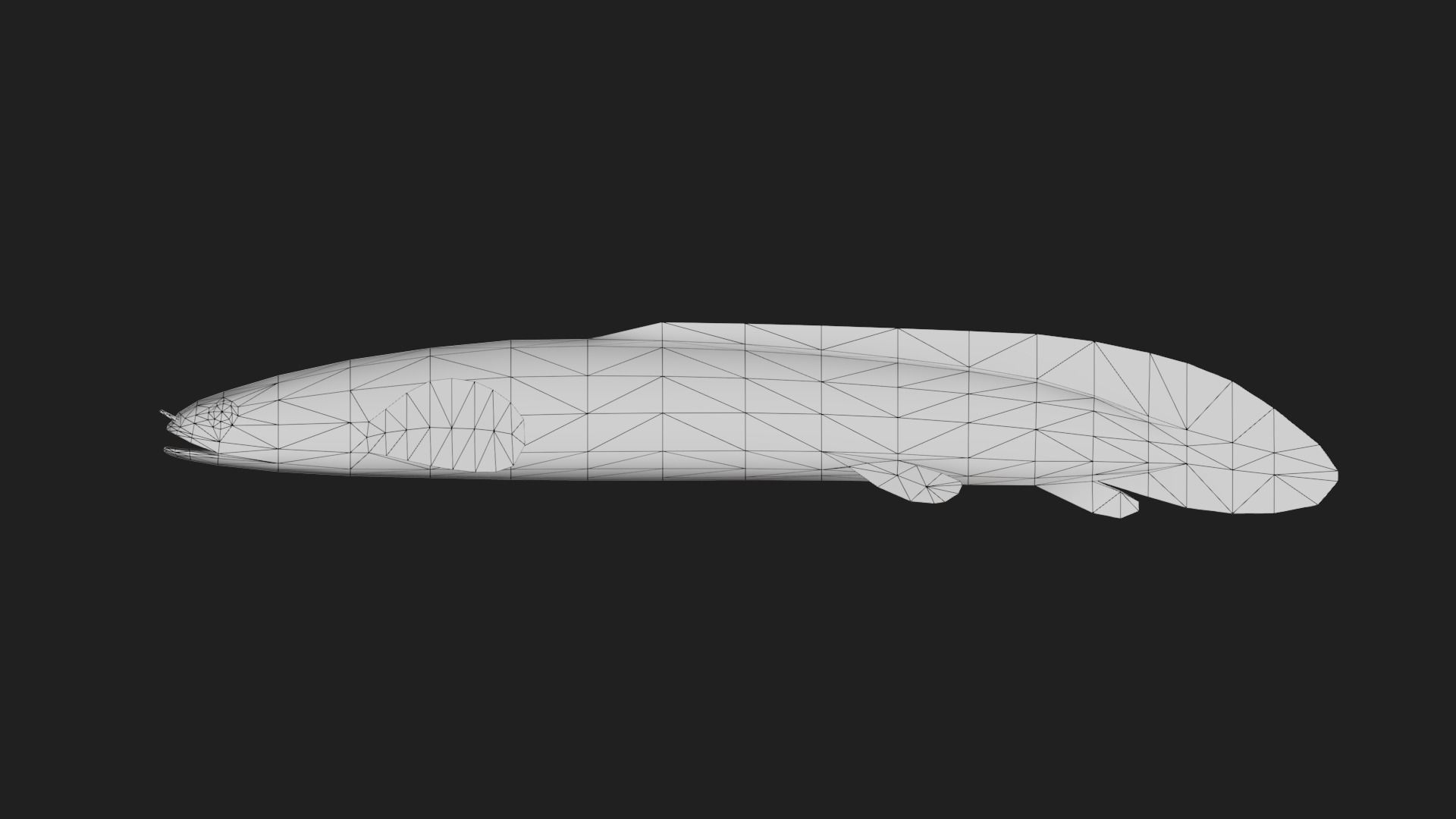 Bichir Low-poly 3D model_1