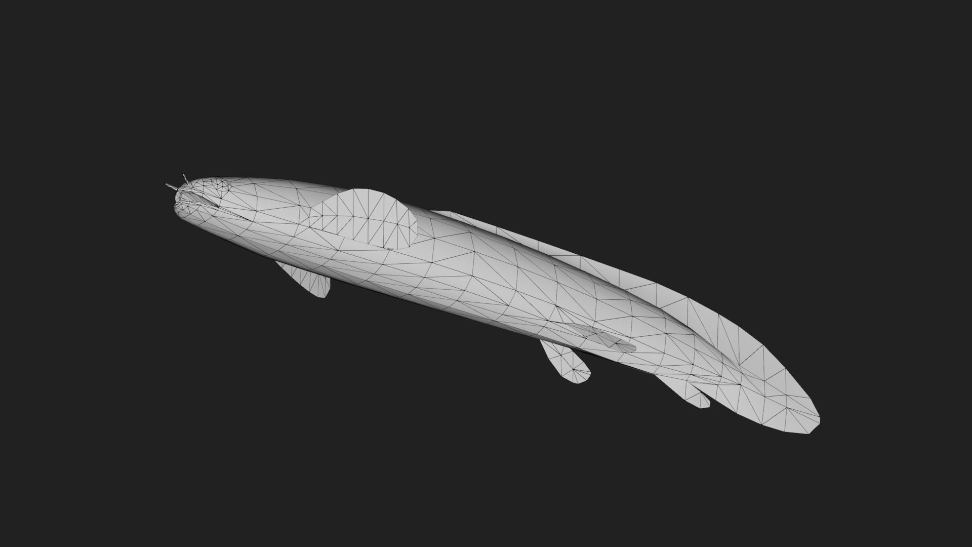 Bichir Low-poly 3D model_5