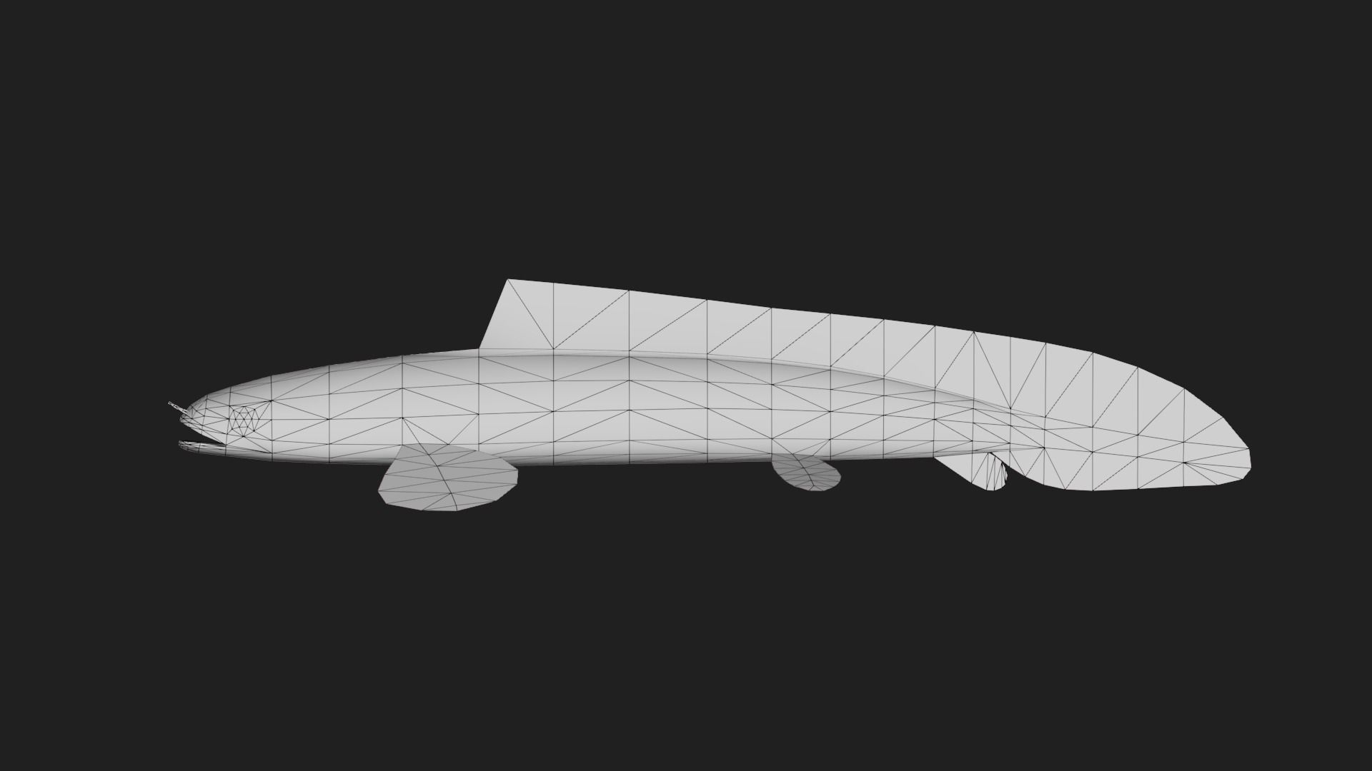 Bichir Low-poly 3D model_1