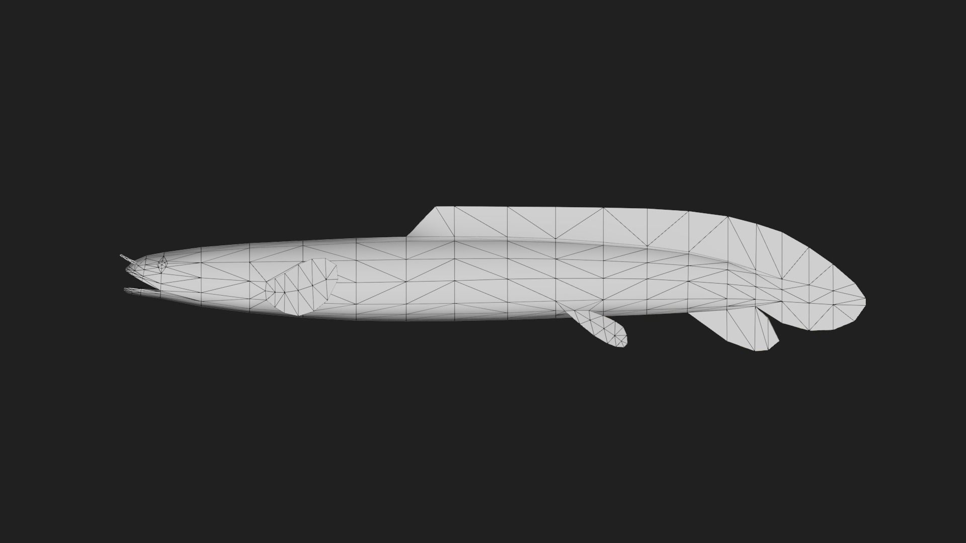 Bichir Low-poly 3D model_1