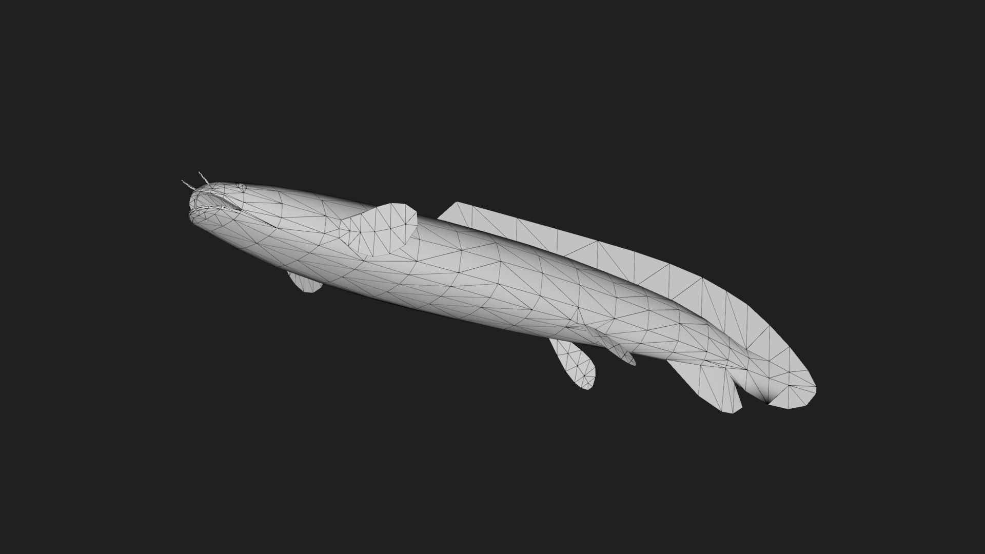 Bichir Low-poly 3D model_3