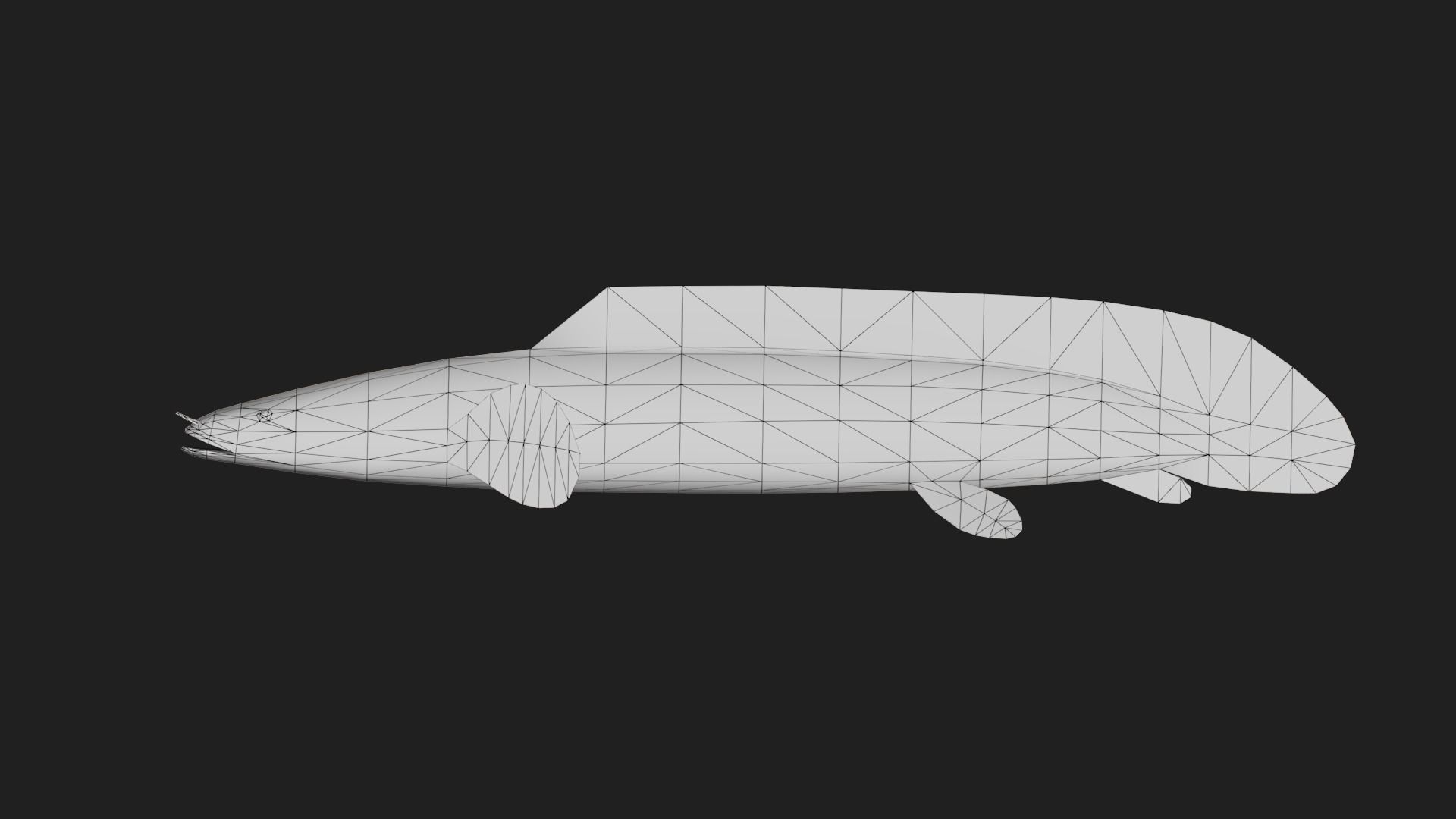 Bichir Low-poly 3D model_1