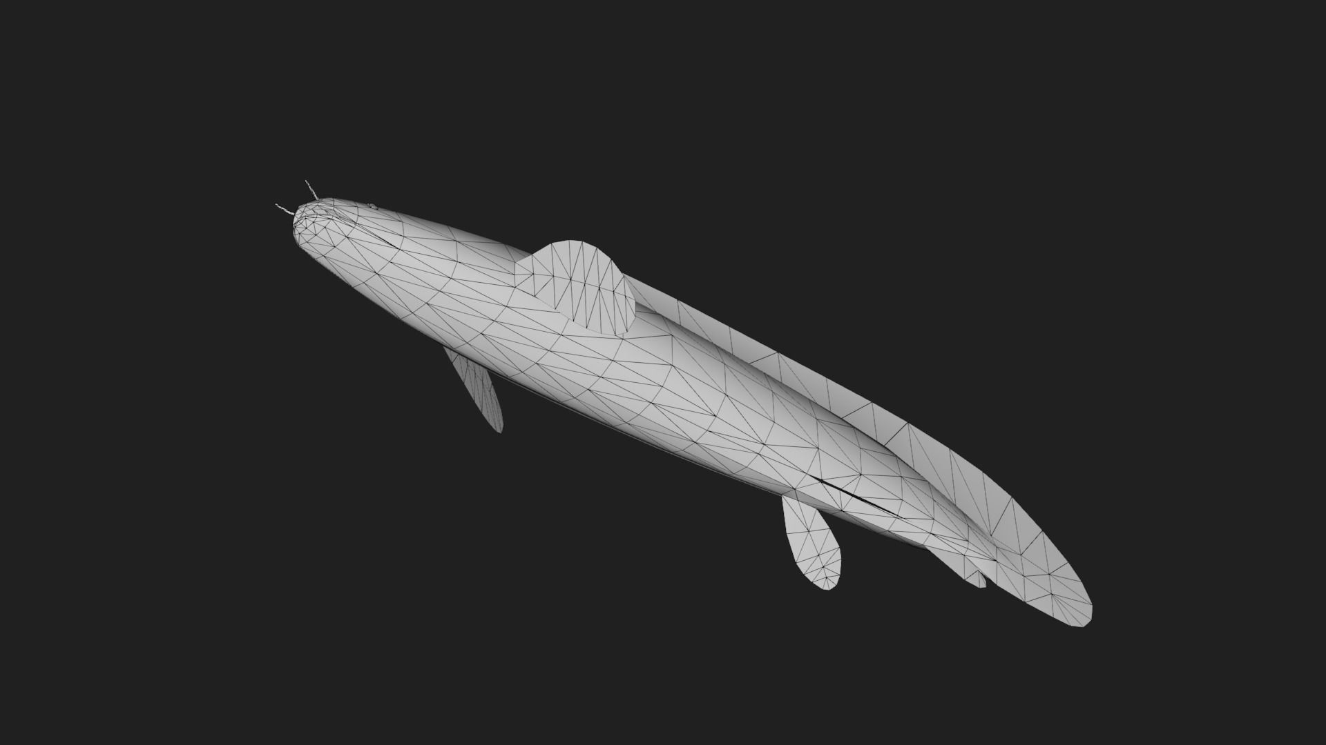 Bichir Low-poly 3D model_3